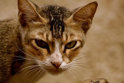 IMG_3881 IMG_3881