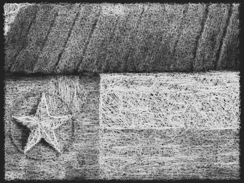 IMG_1164 IMG_1164