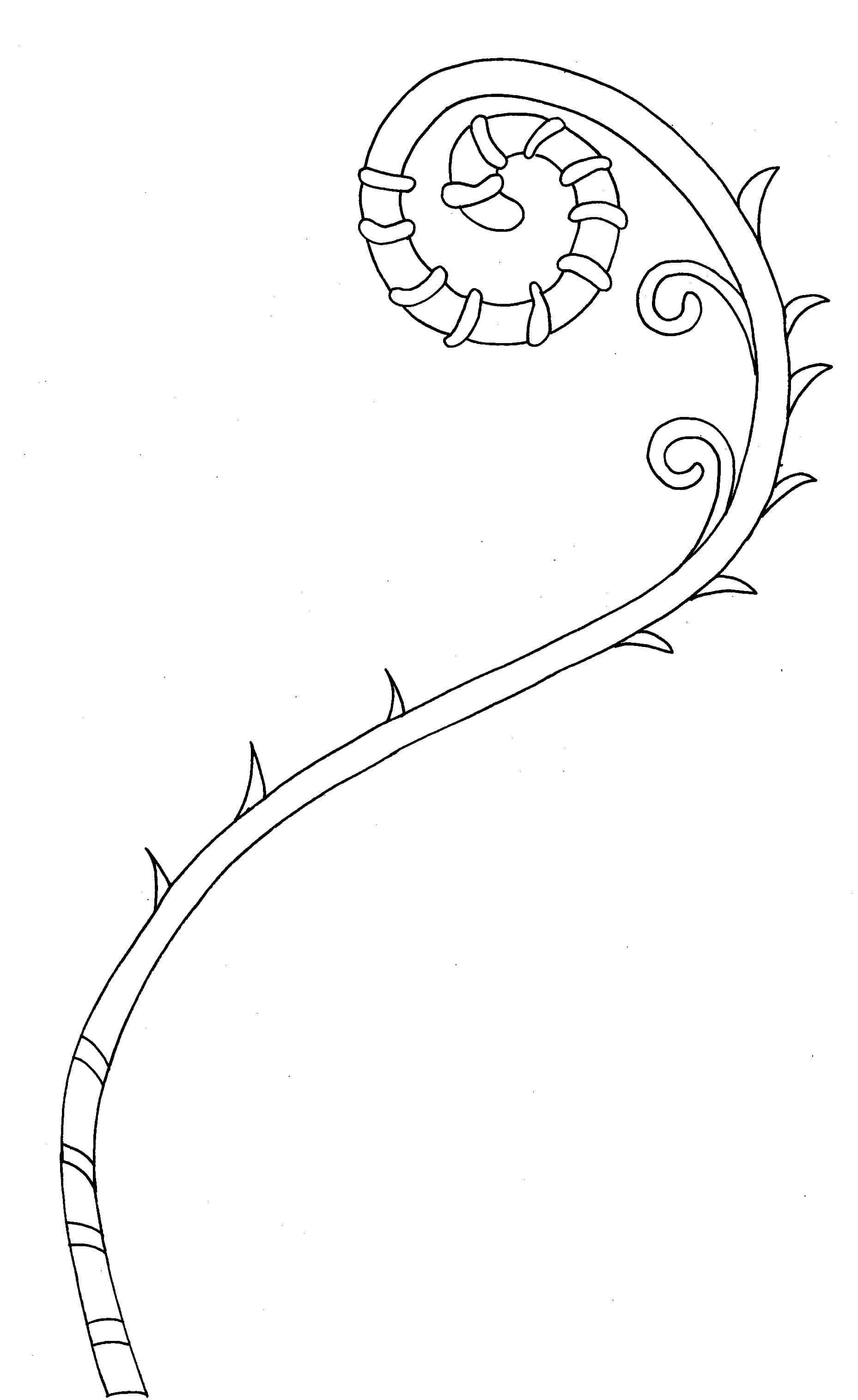 frond