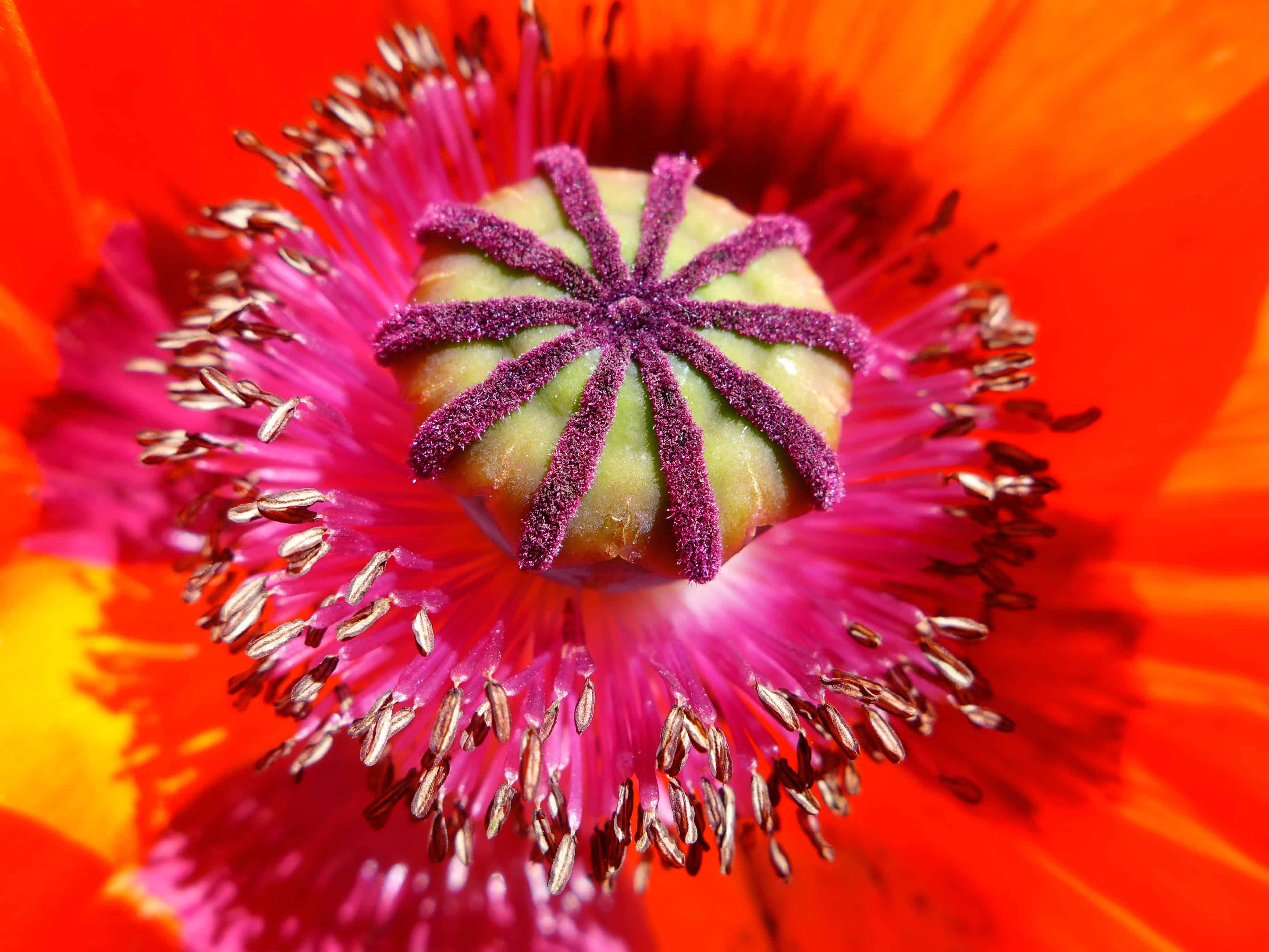 P1100305