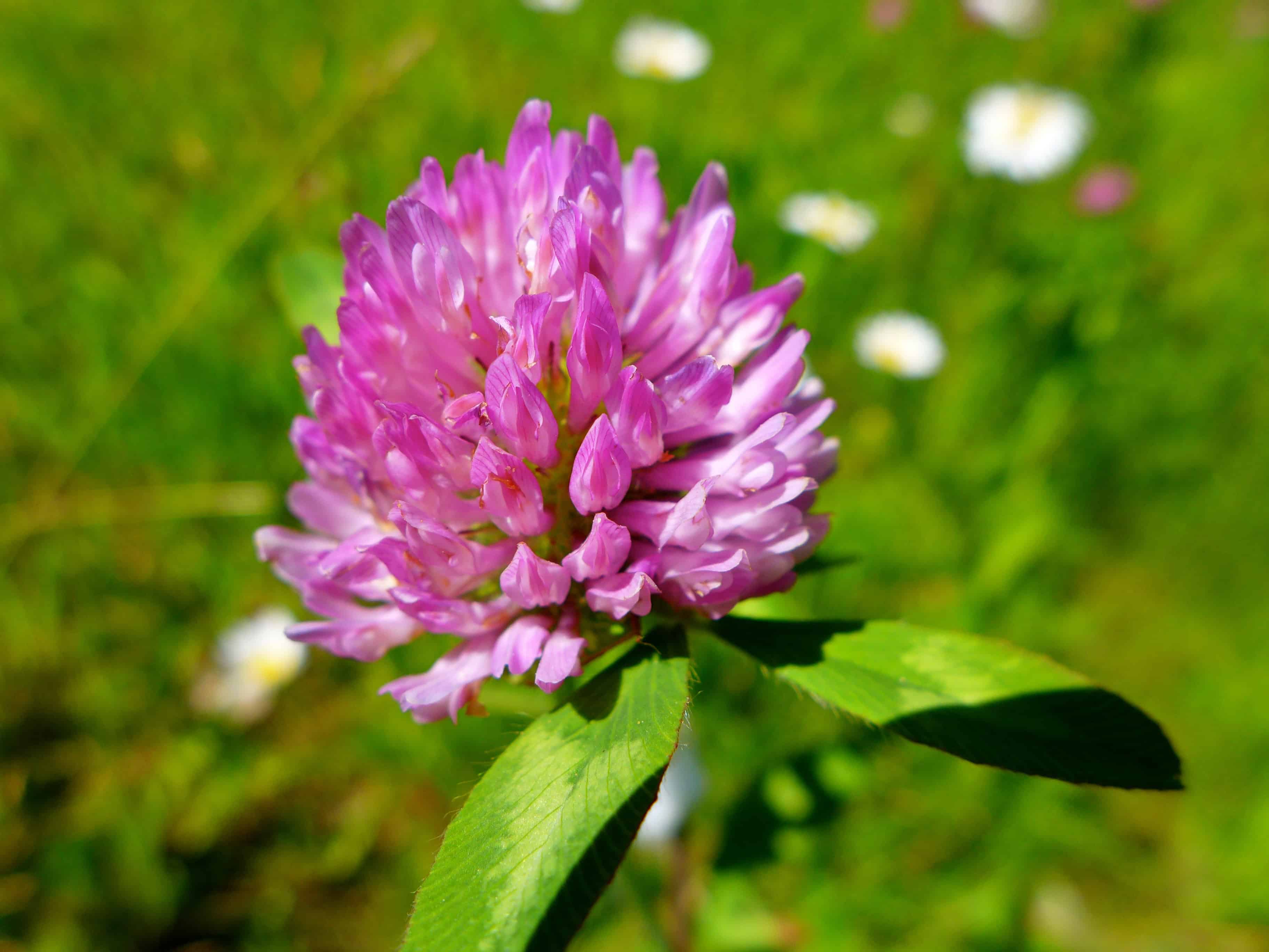 P1100369