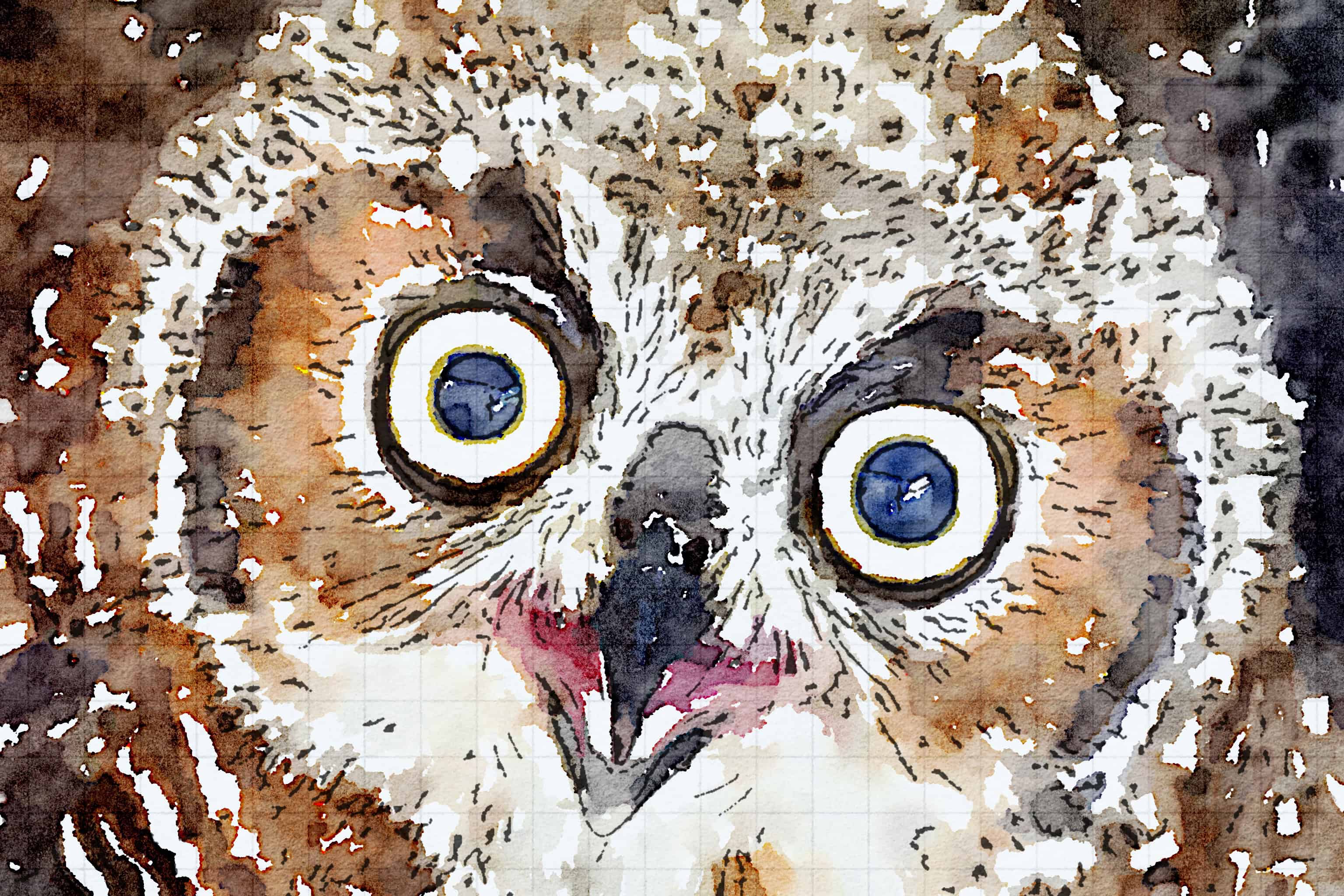 Waterlogue 1.1.4 (1.1.4) Preset Style = ?It's Technical? Format = 6" (Medium) Format Margin = None Format Border = Straight Drawing = Technical Pen Drawing Weight = Medium Drawing Detail = High Paint = Natural Paint Lightness = Normal Paint Intensity = Normal Water = Tap Water Water Edges = Medium Water Bleed = Minimal Brush = Natural Detail Brush Focus = Everything Brush Spacing = Wide Paper = Graph Paper Texture = Medium Paper Shading = Light Options Faces = Enhance Faces