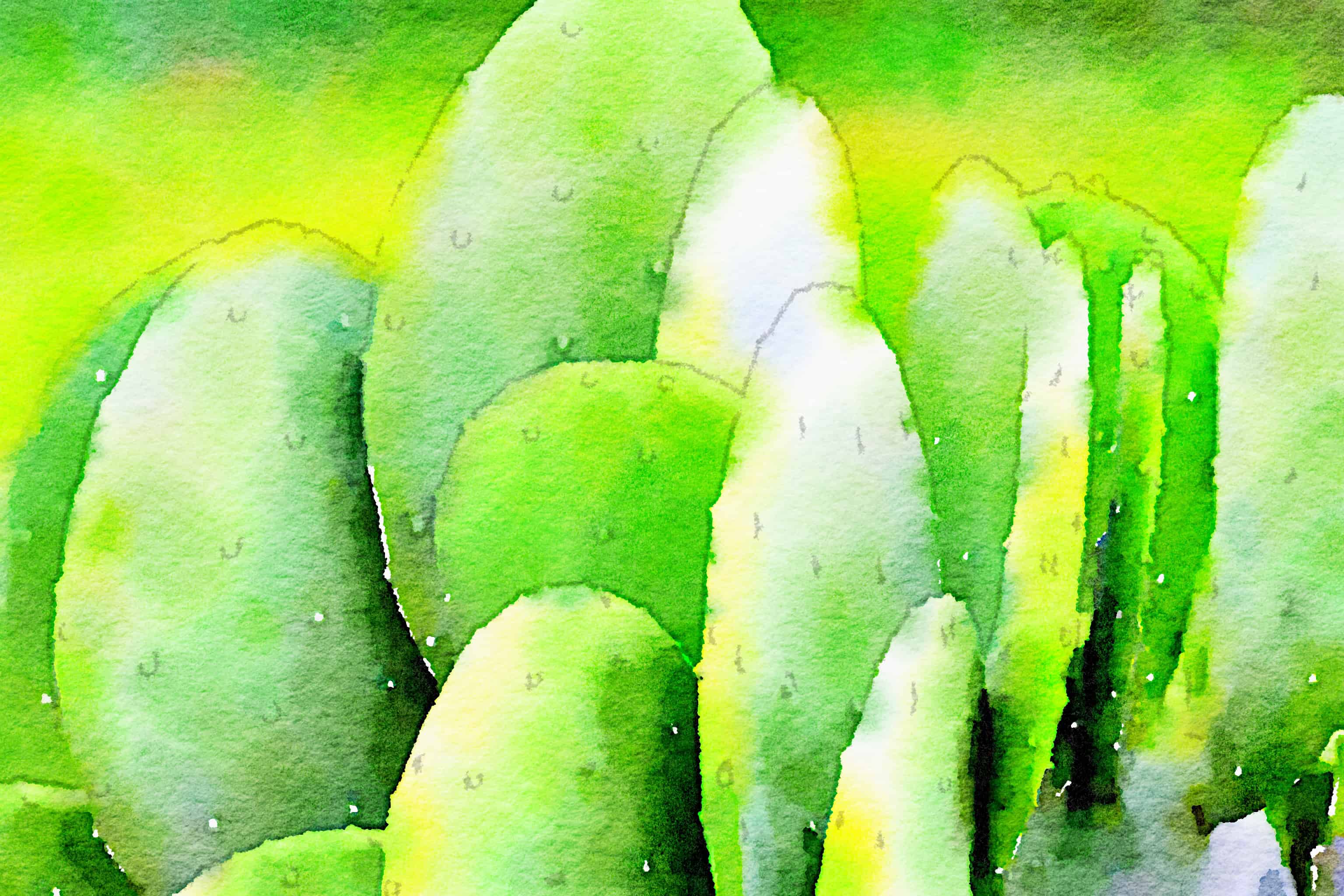 Waterlogue 1.1.4 (1.1.4) Preset Style = Bold Format = 6" (Medium) Format Margin = None Format Border = Straight Drawing = #2 Pencil Drawing Weight = Heavy Drawing Detail = Medium Paint = High Contrast Paint Lightness = Normal Paint Intensity = More Water = Tap Water Water Edges = Blurry Water Bleed = Average Brush = Fine Detail Brush Focus = Everything Brush Spacing = Medium Paper = Watercolor Paper Texture = Medium Paper Shading = Medium Options Faces = Enhance Faces