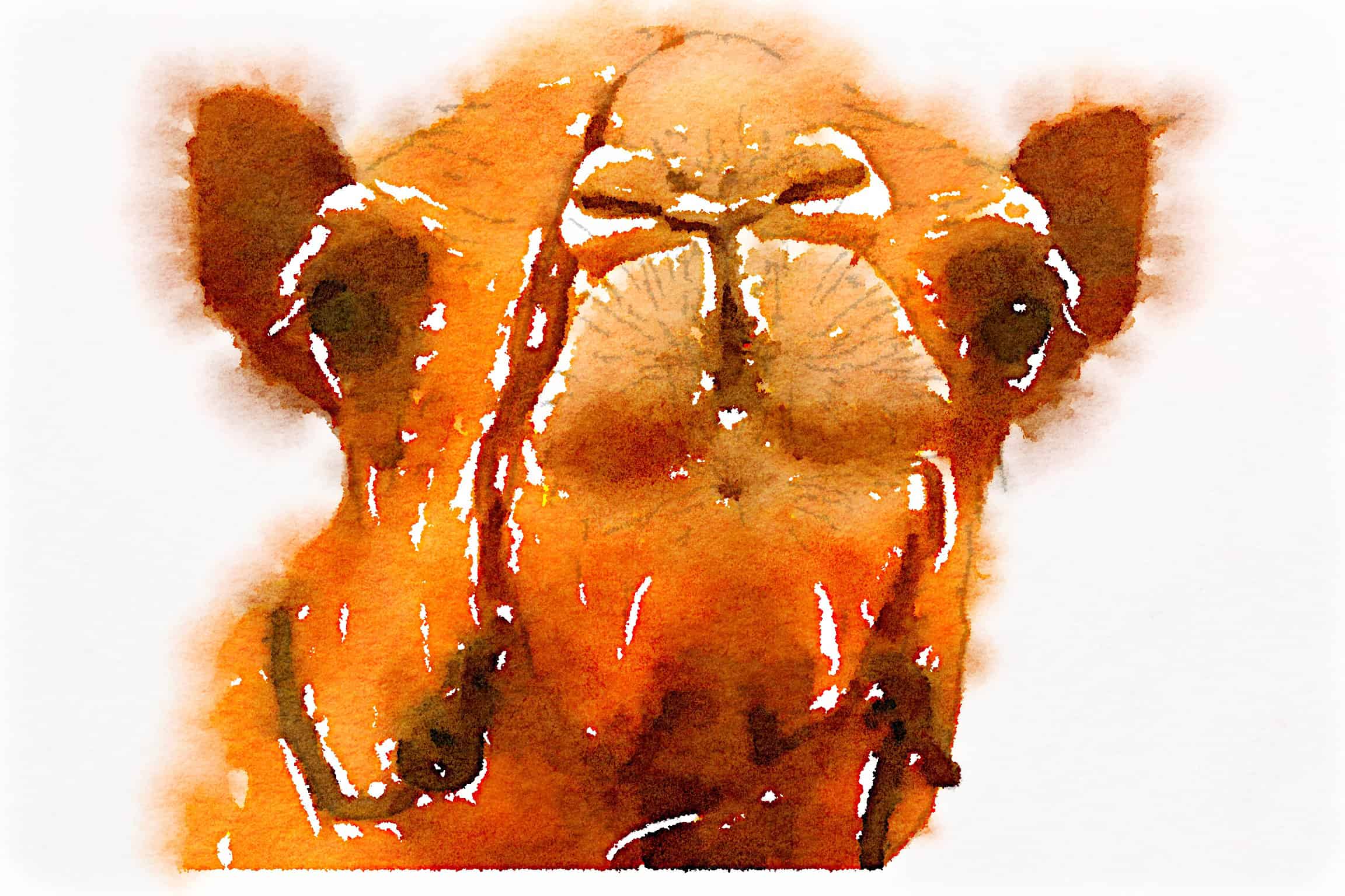 Preset Style = Color Bloom Format = Medium Format Margin = Small Format Border = Sm. Rounded Drawing = #2 Pencil Drawing Weight = Heavy Drawing Detail = Medium Paint = Natural Paint Lightness = Normal Paint Intensity = More Water = Tap Water Water Edges = Blurry Water Bleed = Average Brush = Fine Detail Brush Focus = Everything Brush Spacing = Wide Paper = Watercolor Paper Texture = Medium Paper Shading = Light