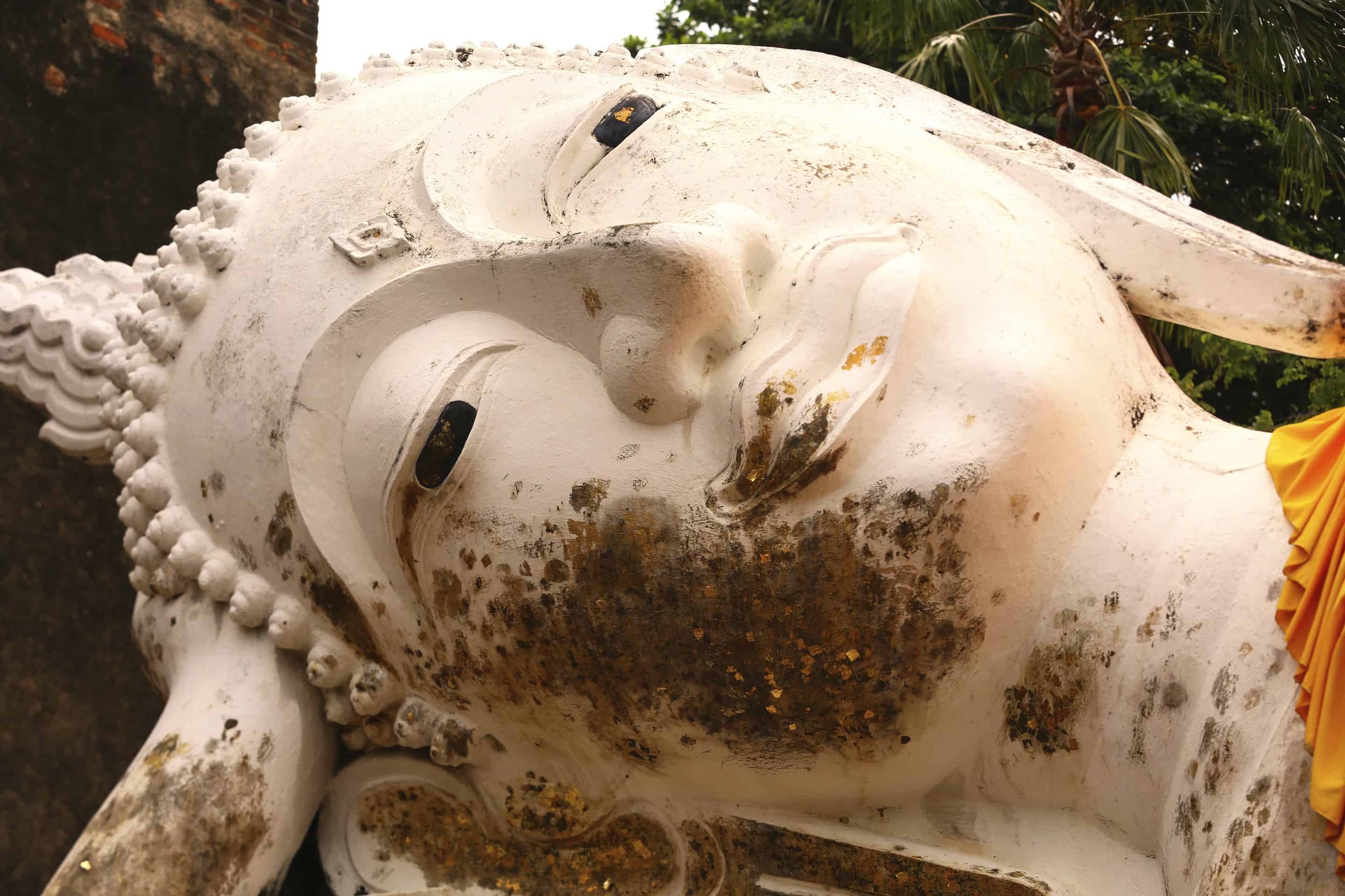 buddah