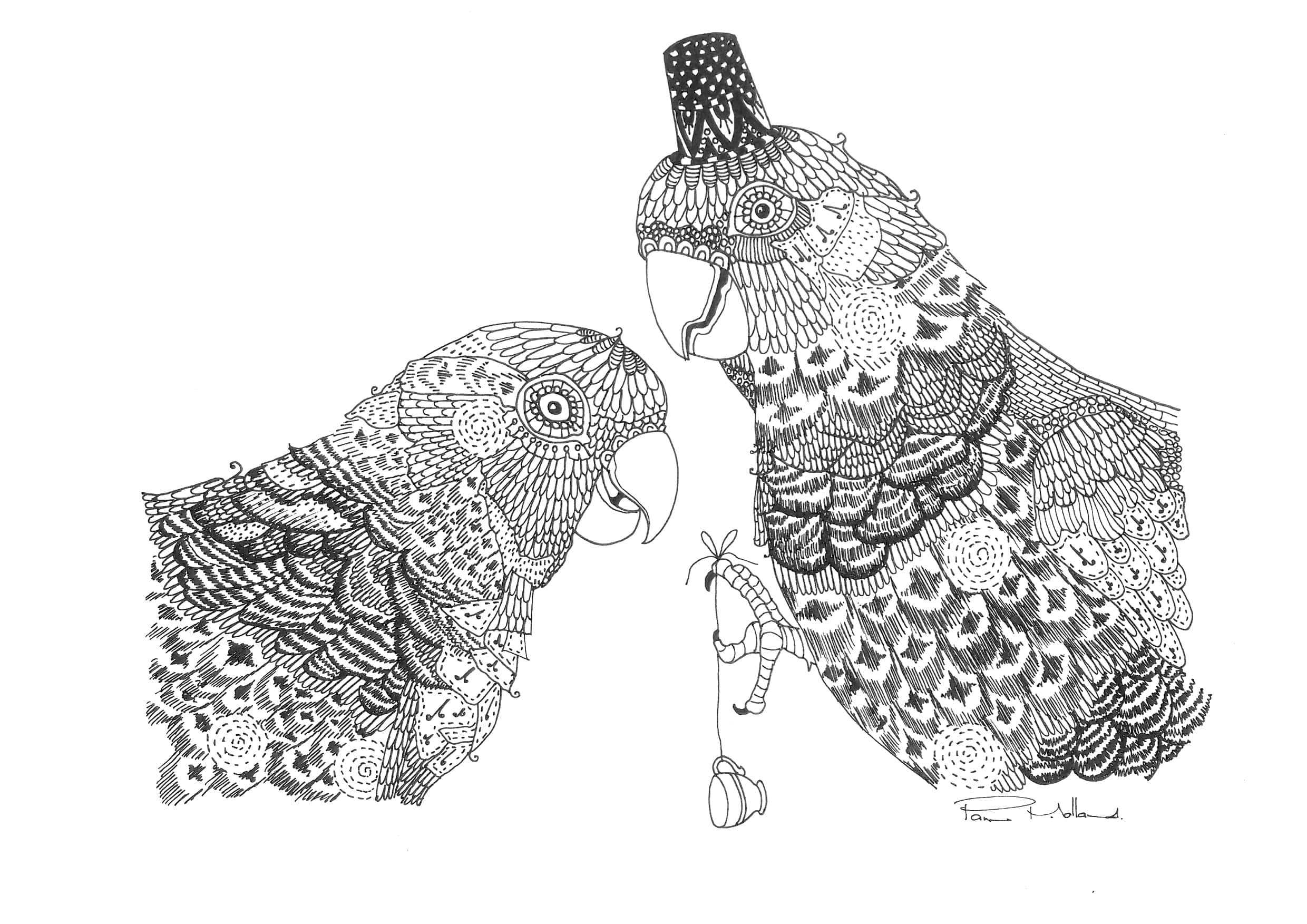 Sineo 20315121312050