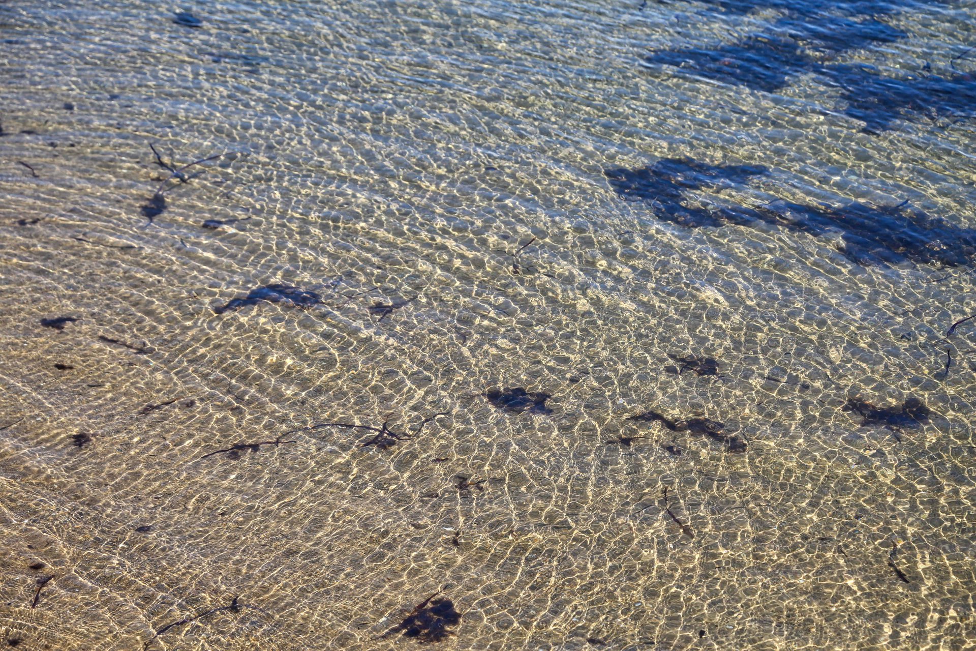 water4