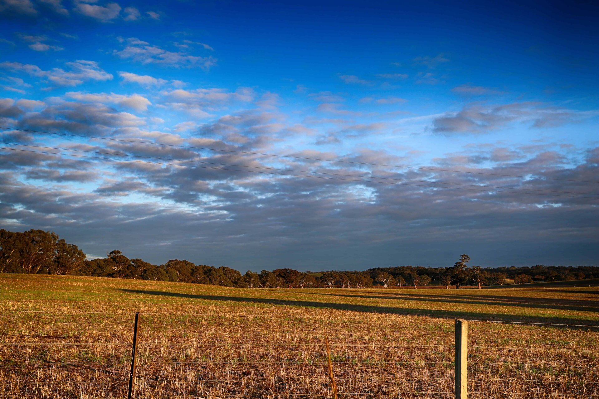 Barossa 2.