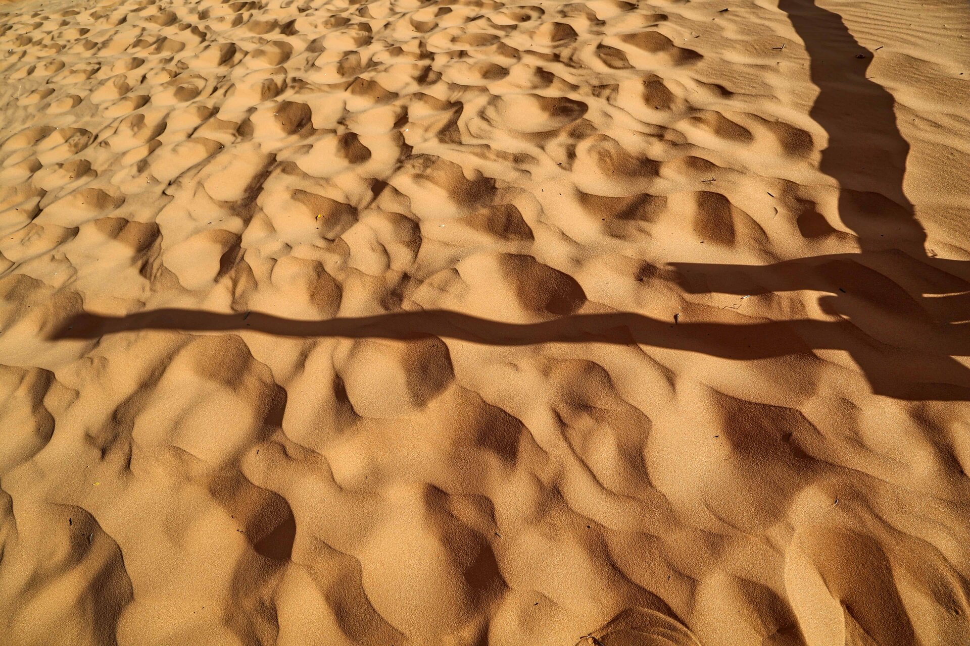 5Z8A7736_HDR