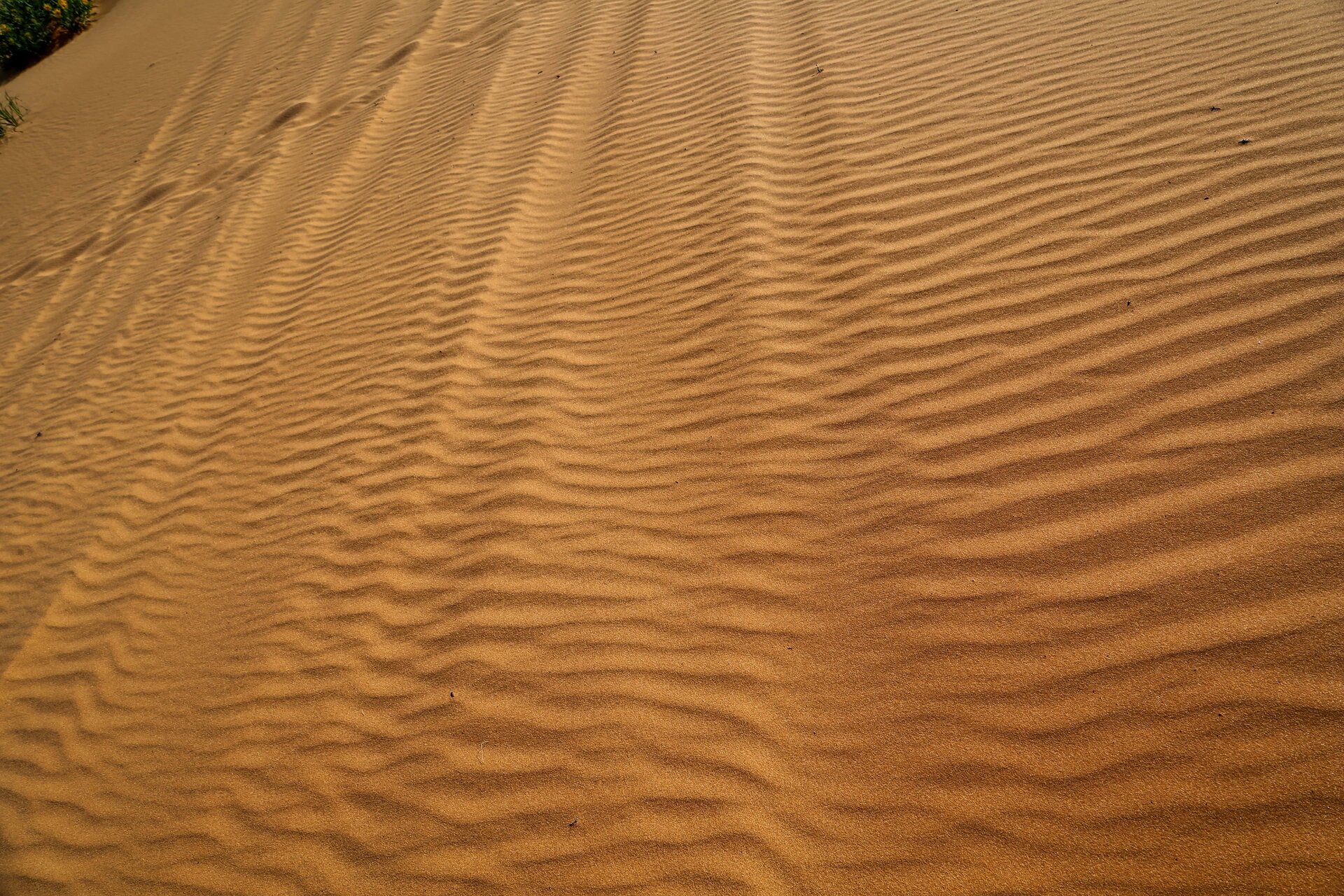 5Z8A7741_HDR