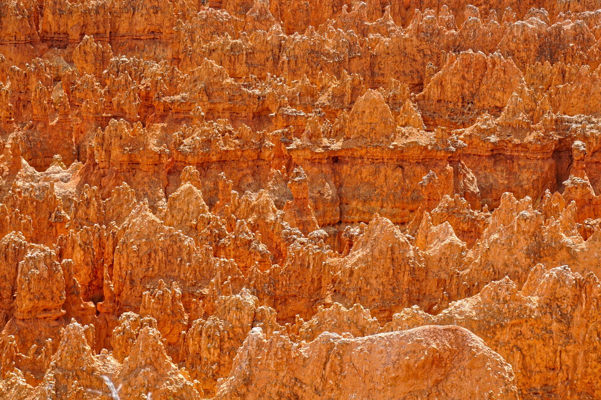 DSC01283_HDR