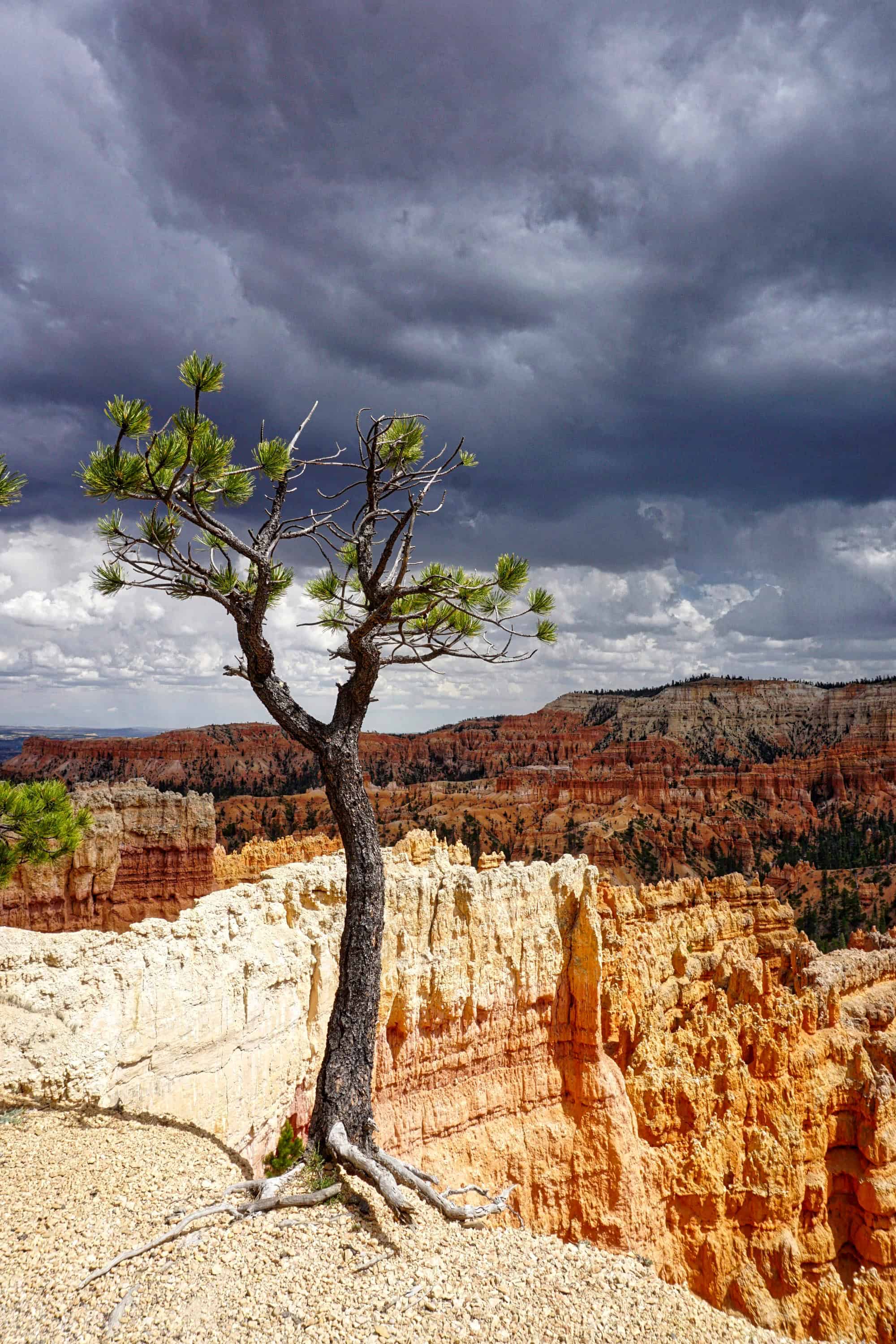 DSC01285_HDR
