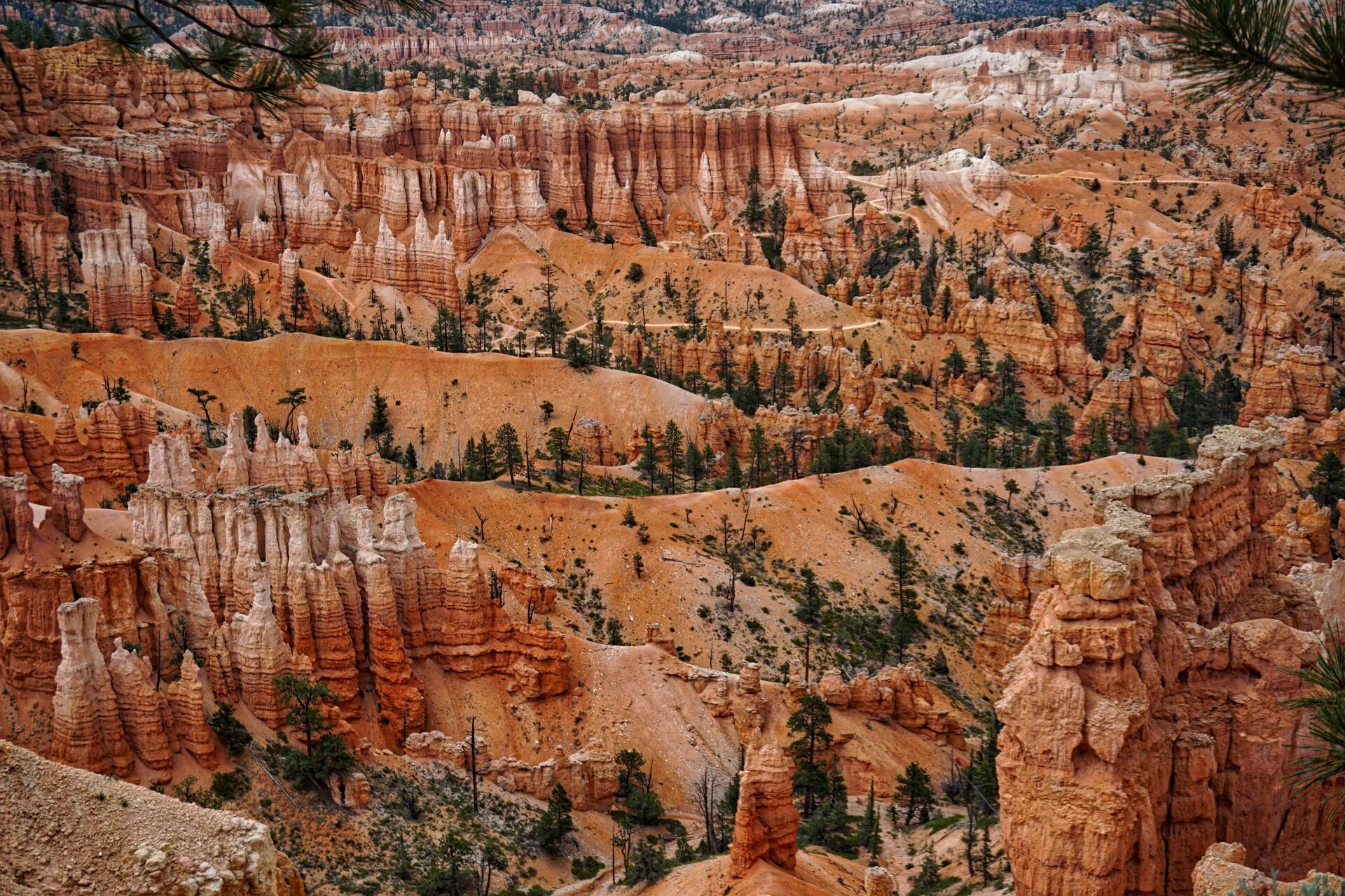DSC01294_HDR