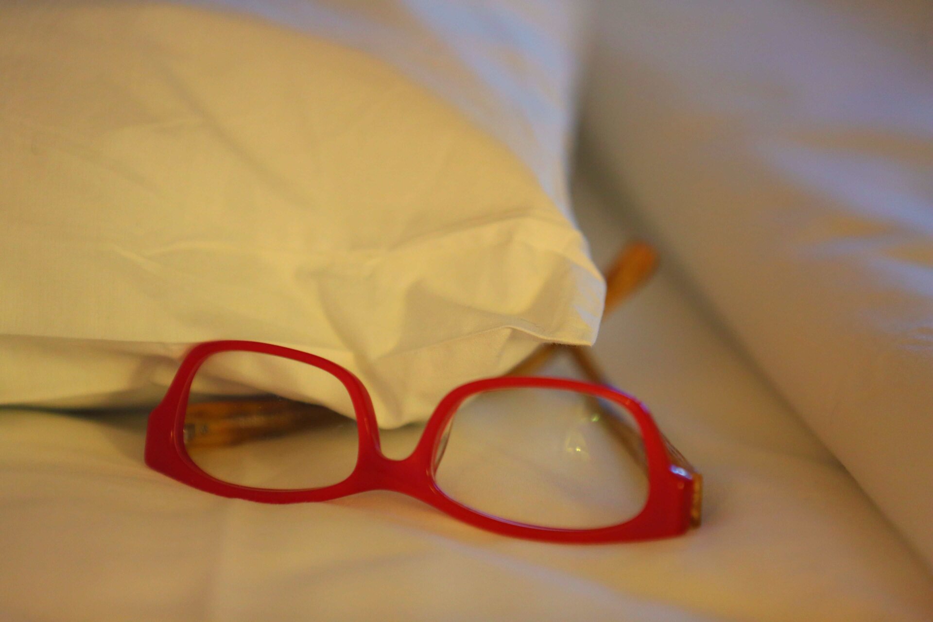 GLASSES