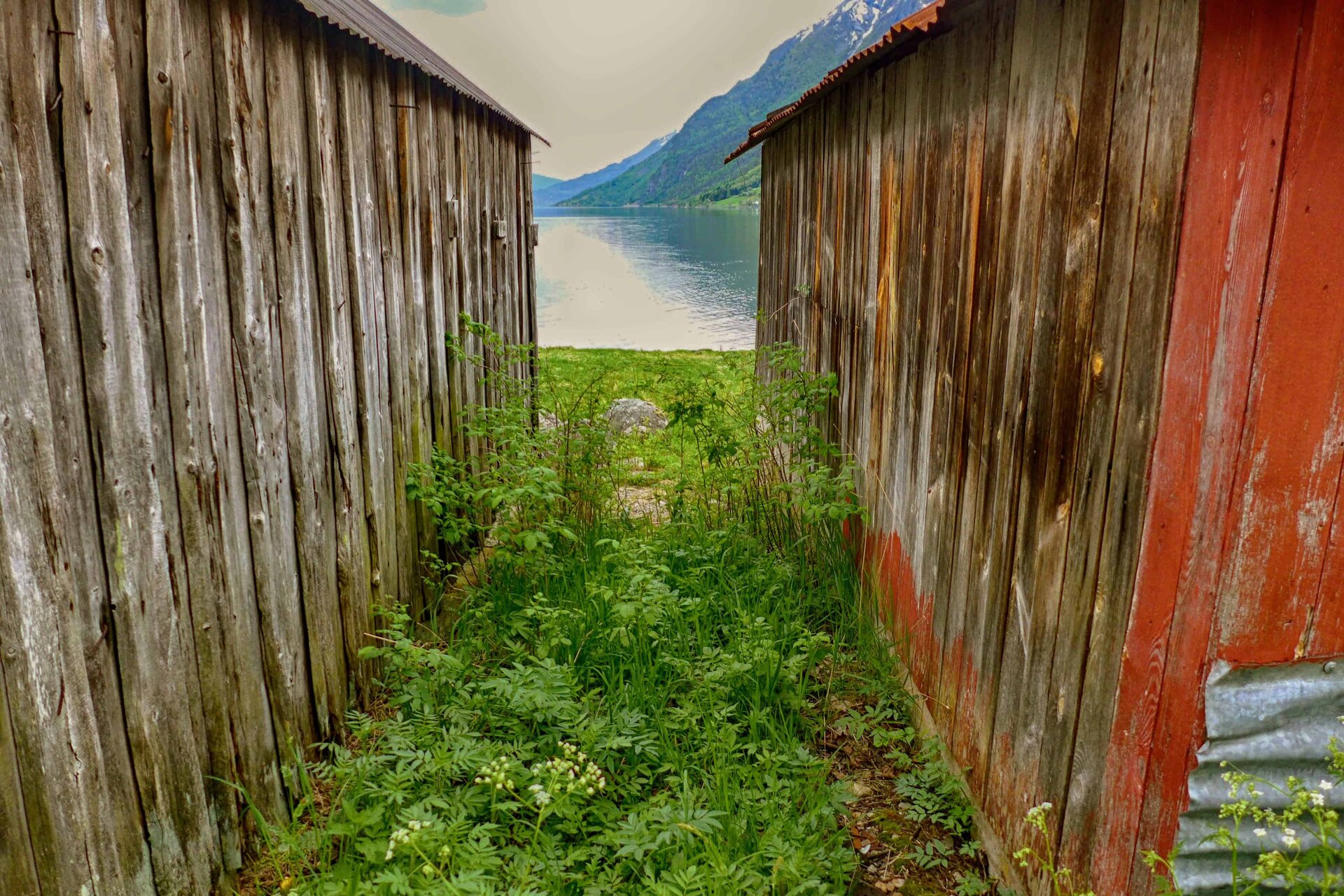 nthe boat shed