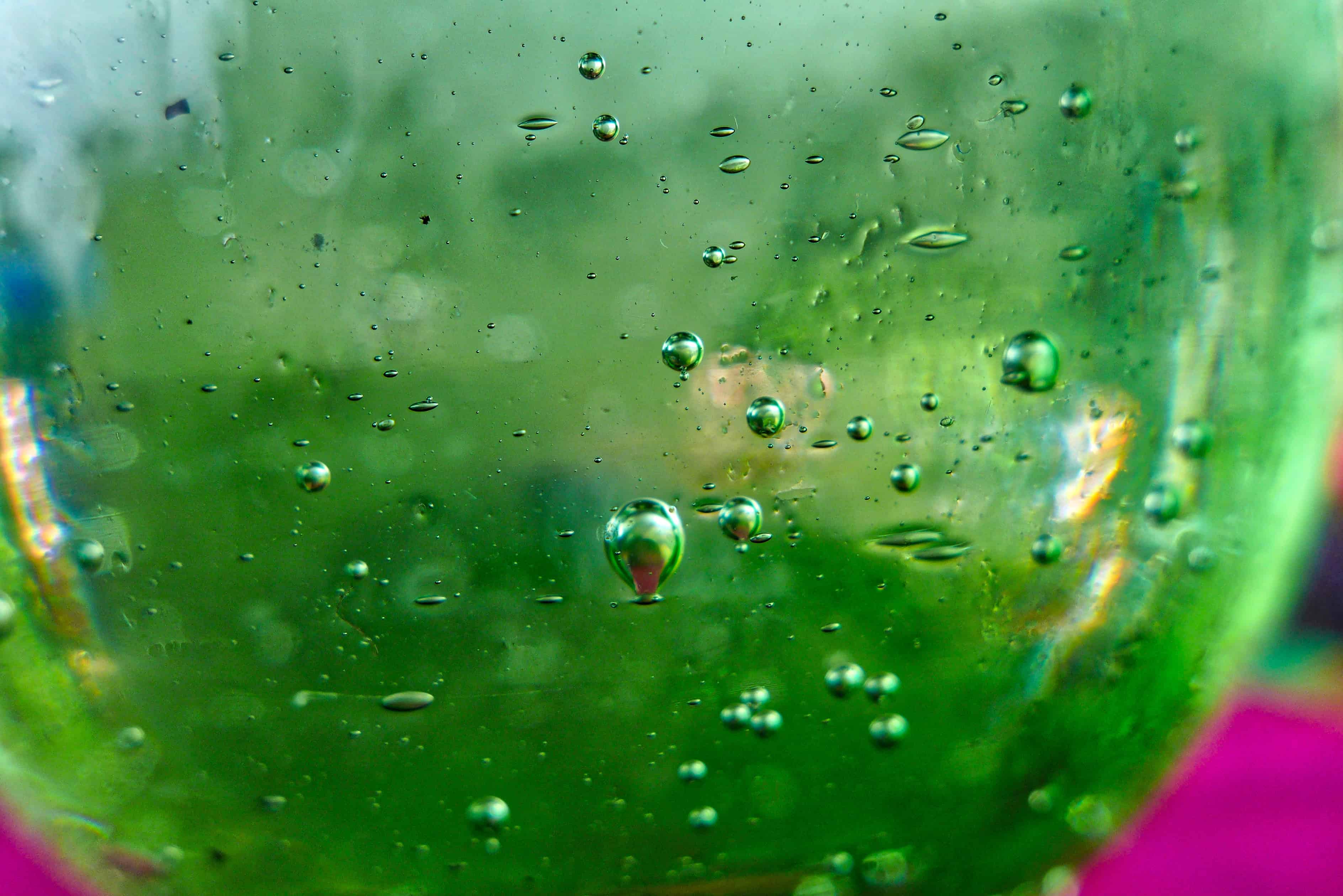P1090875_HDR
