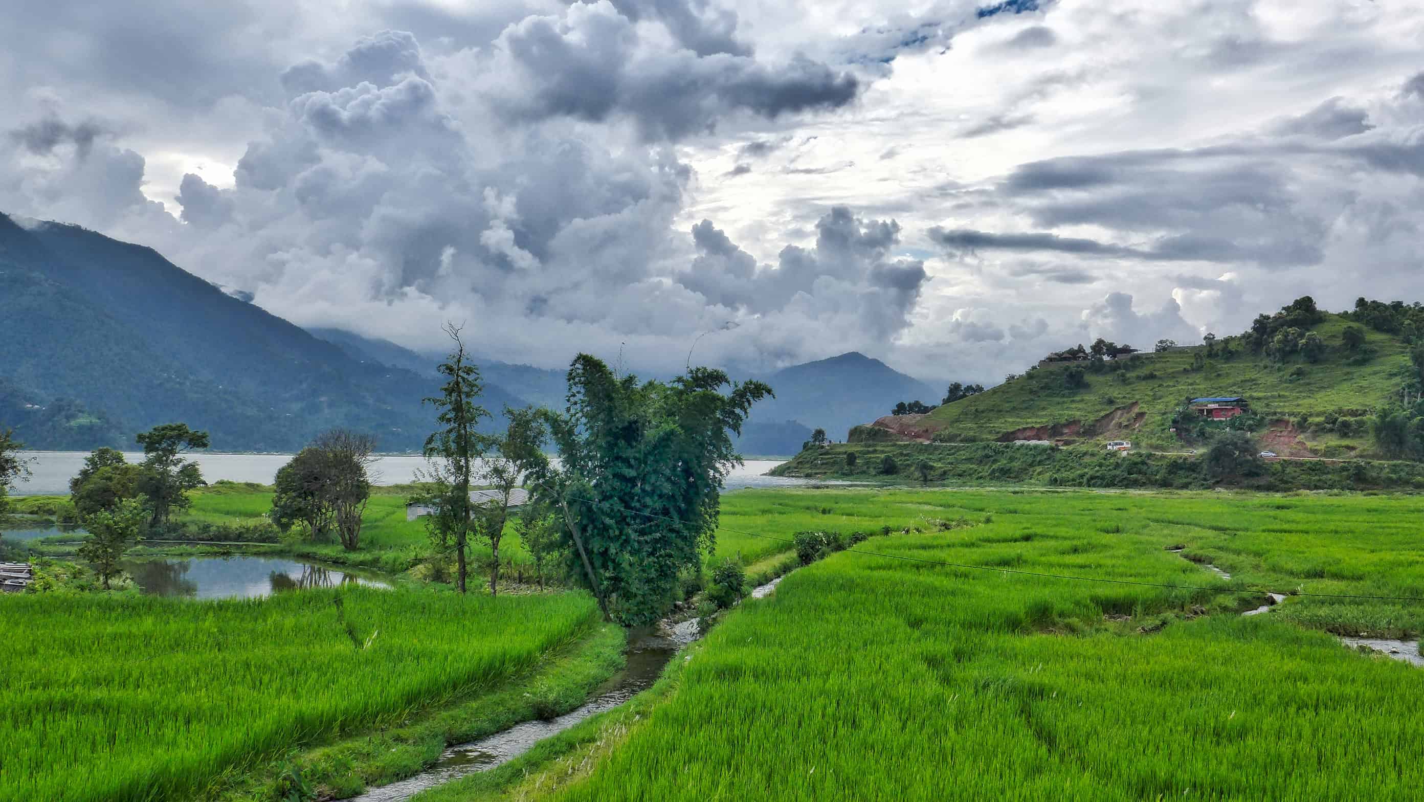 the-fields