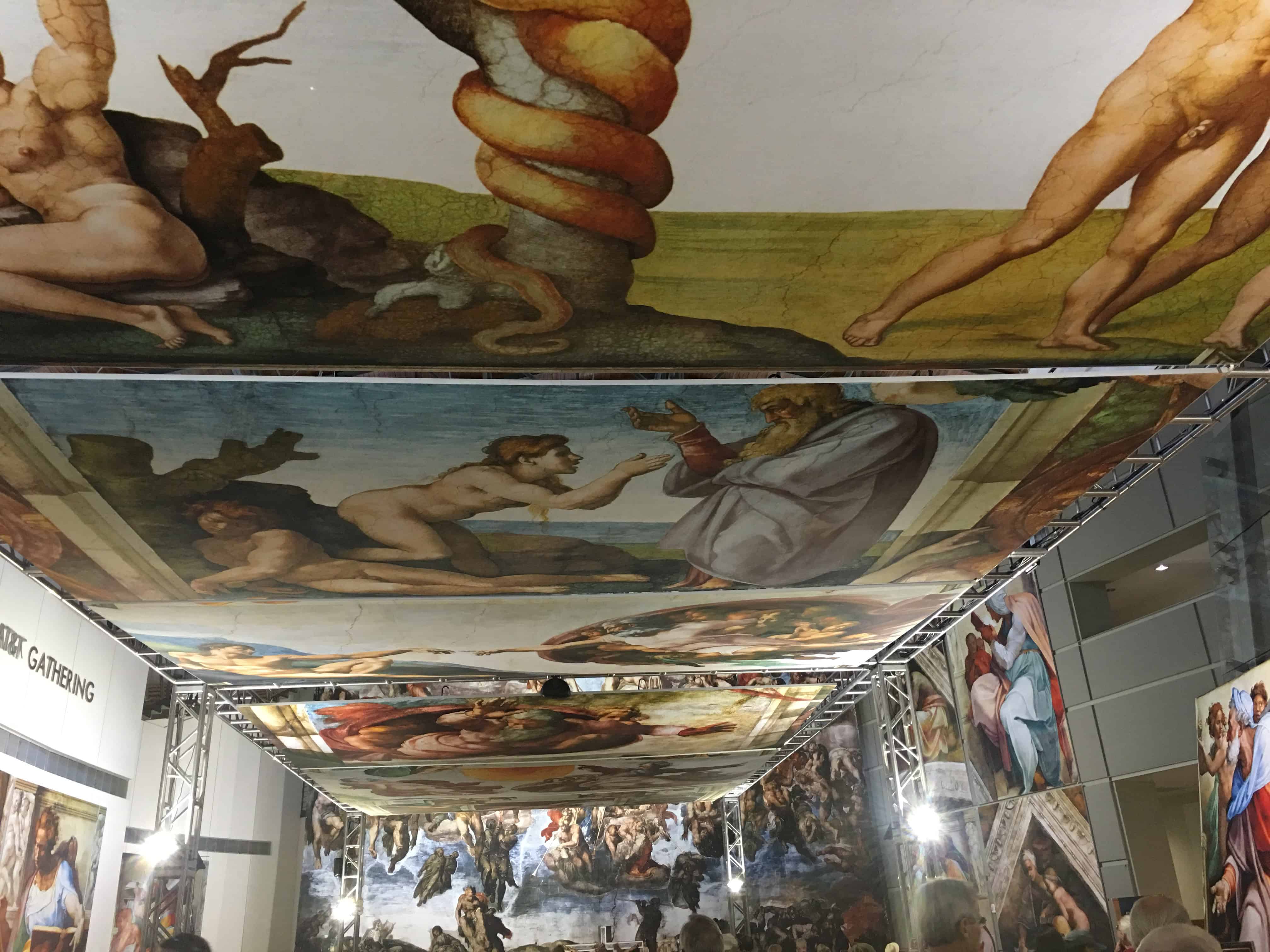 img_8356