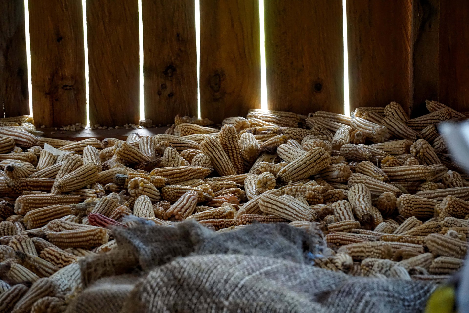 dsc04617_hdr