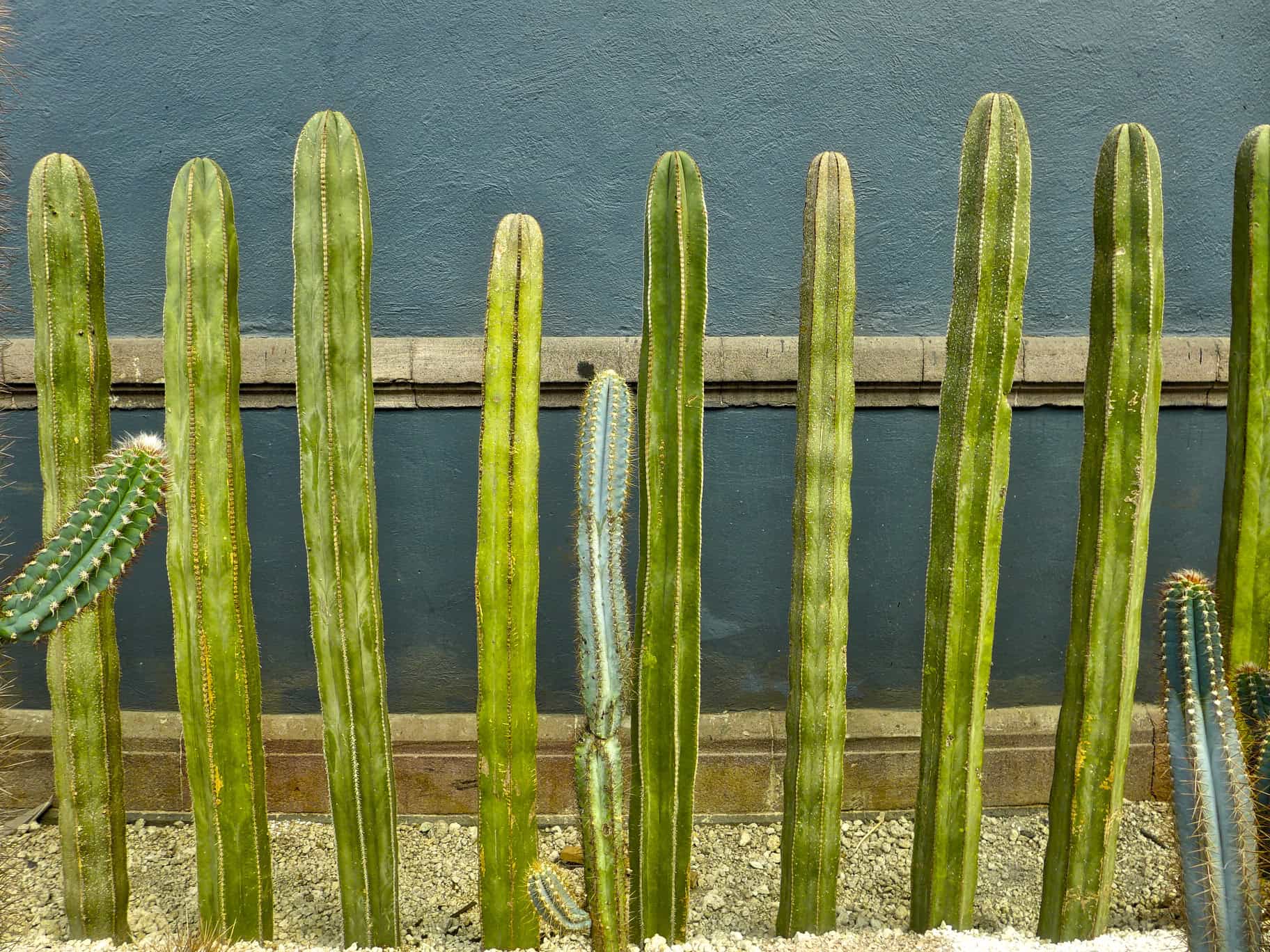 p1150643_hdr