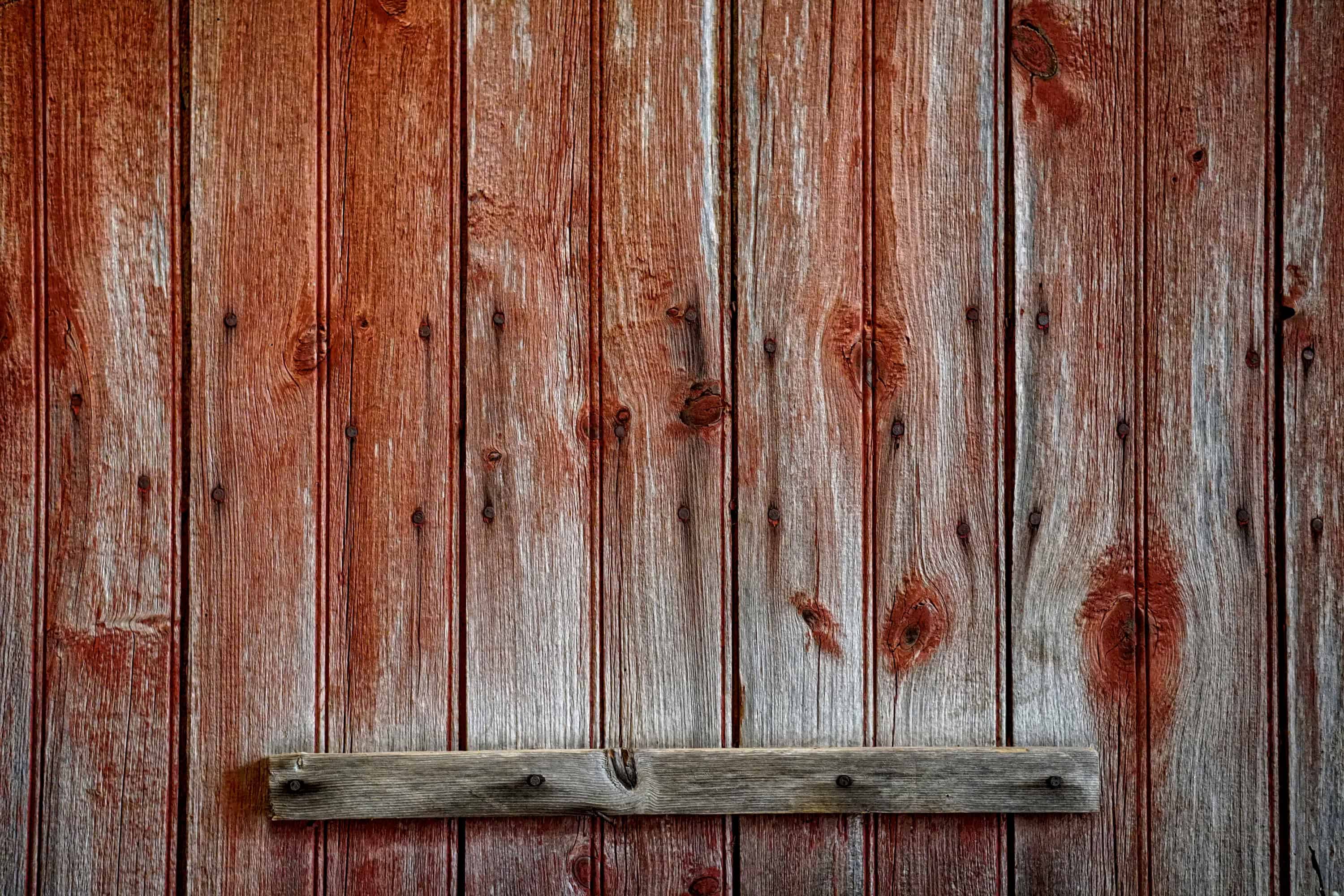DSC00205_HDR