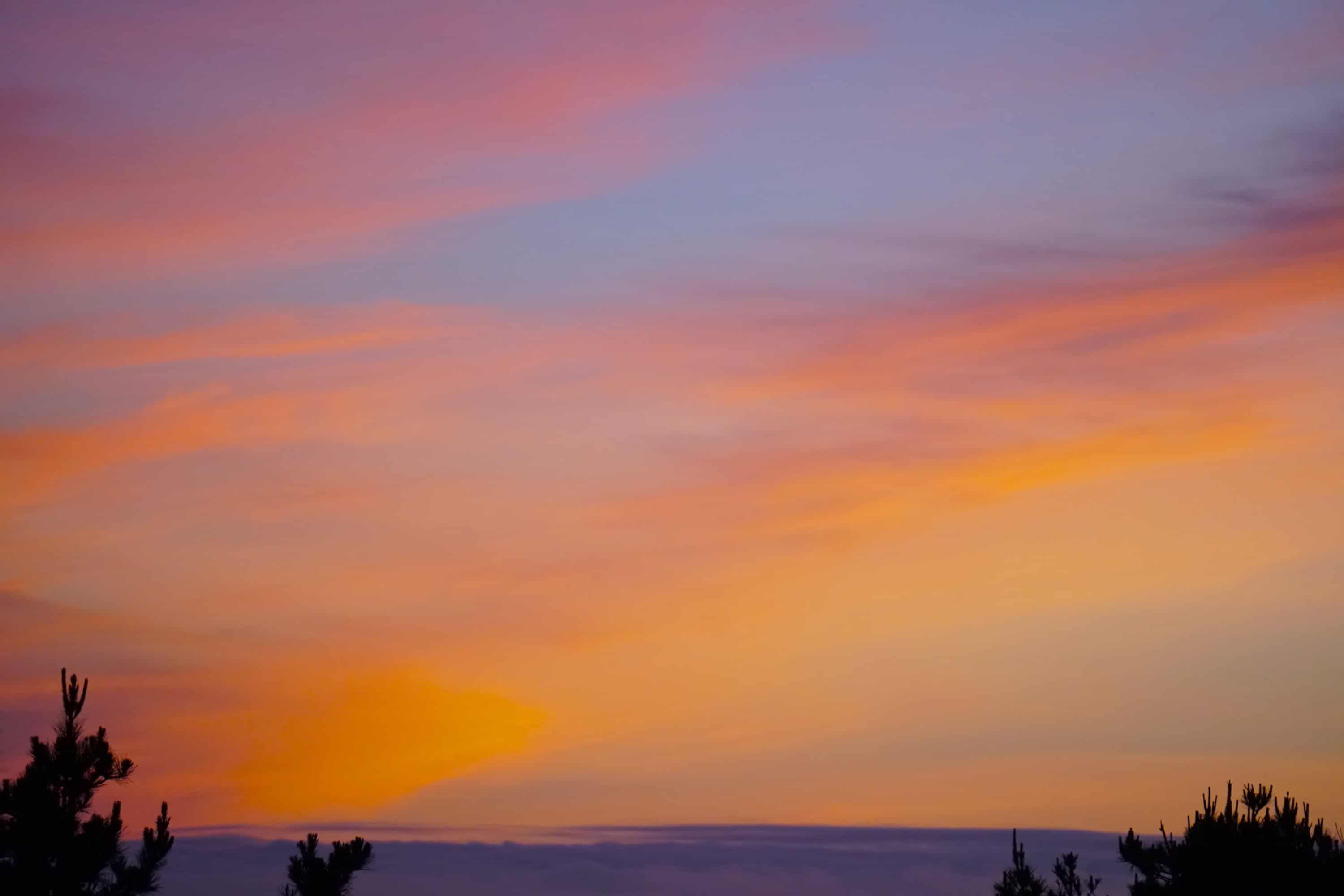 DSC00540