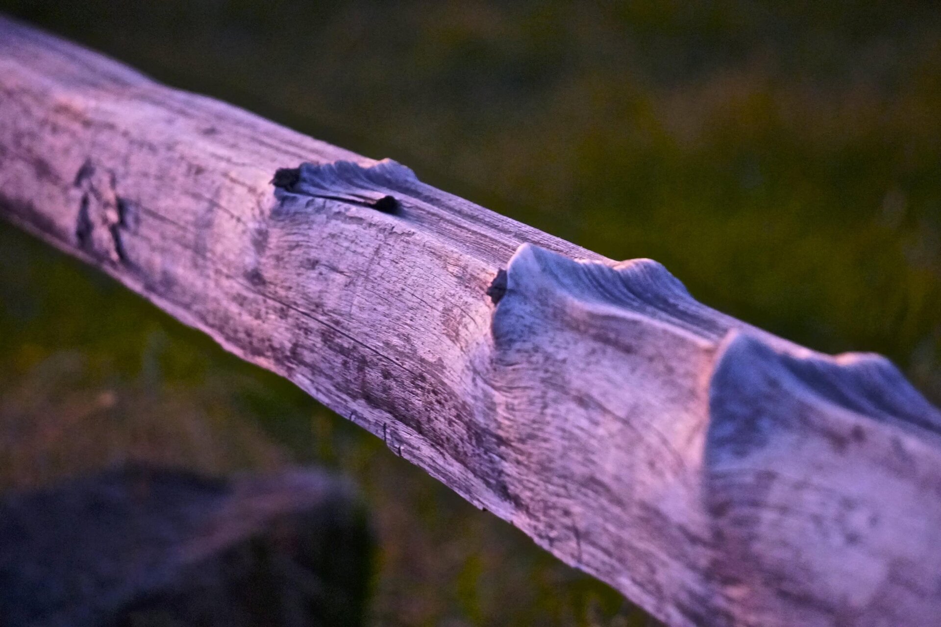 DSC00543