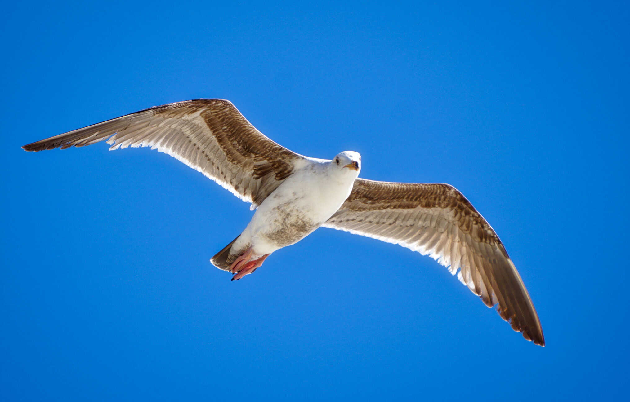 DSC00569_HDR