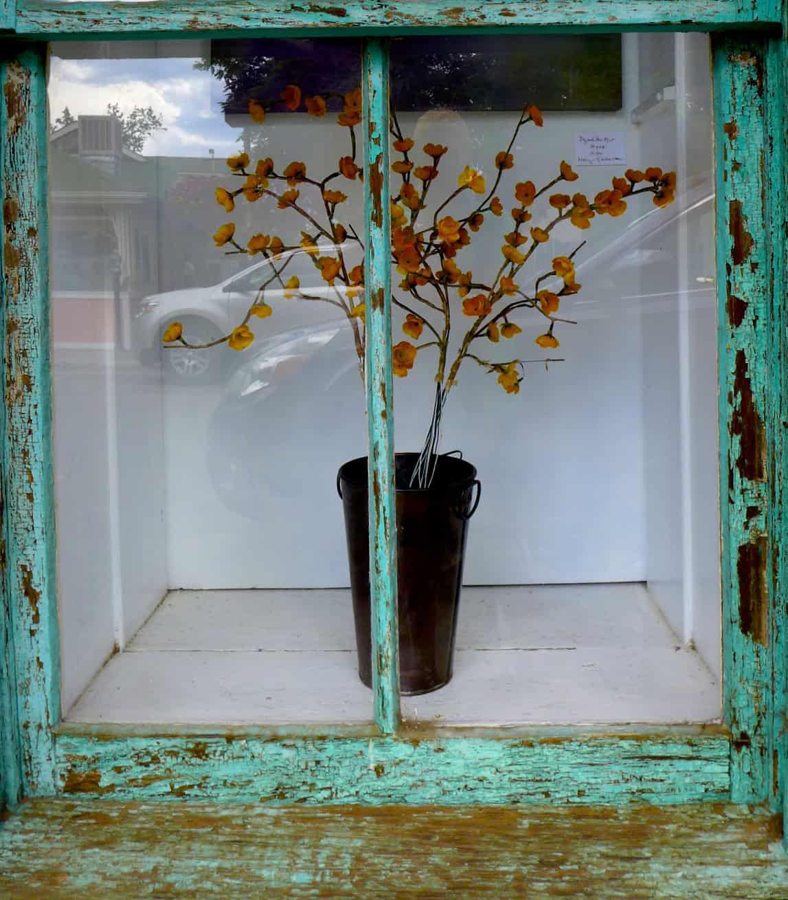 P1170719