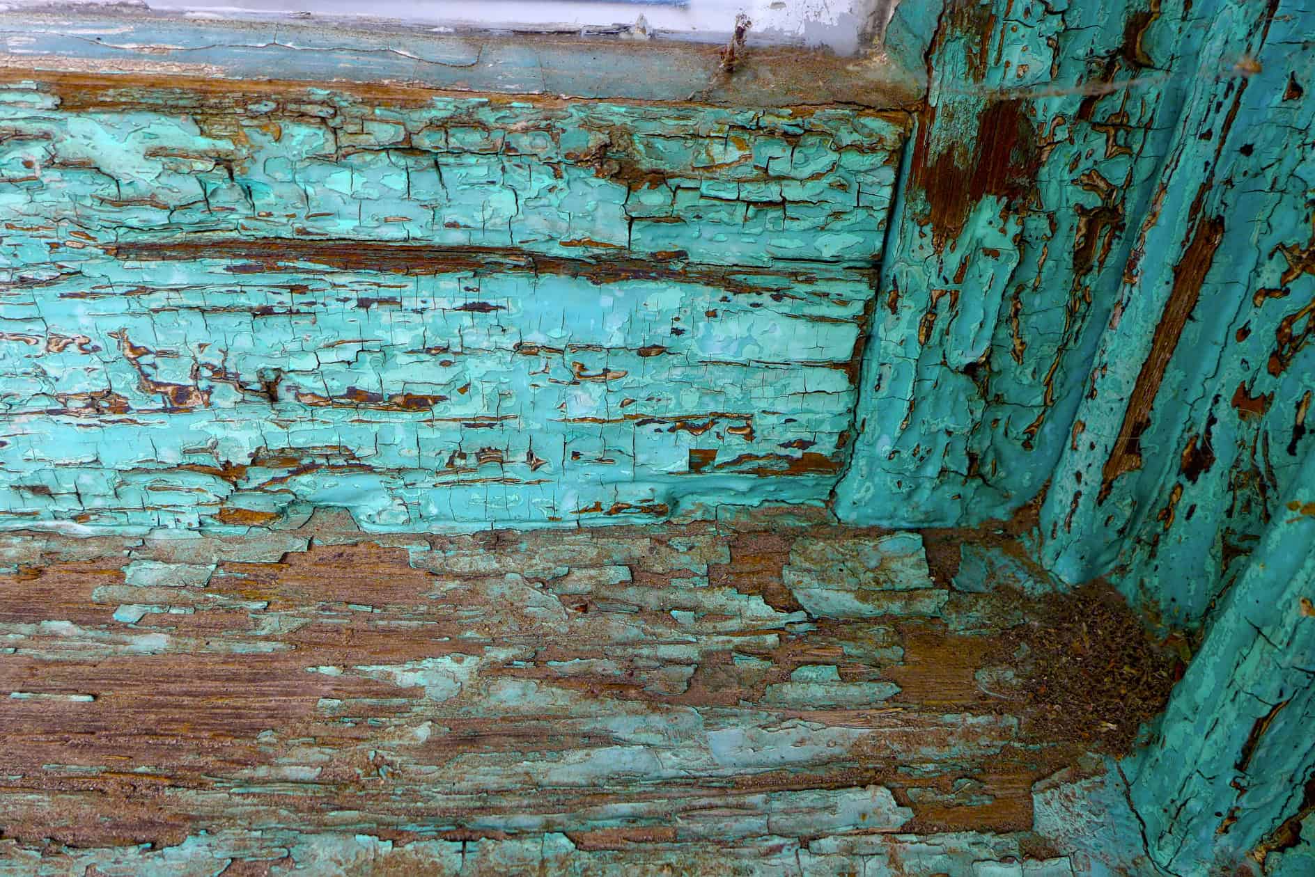 P1170720_HDR