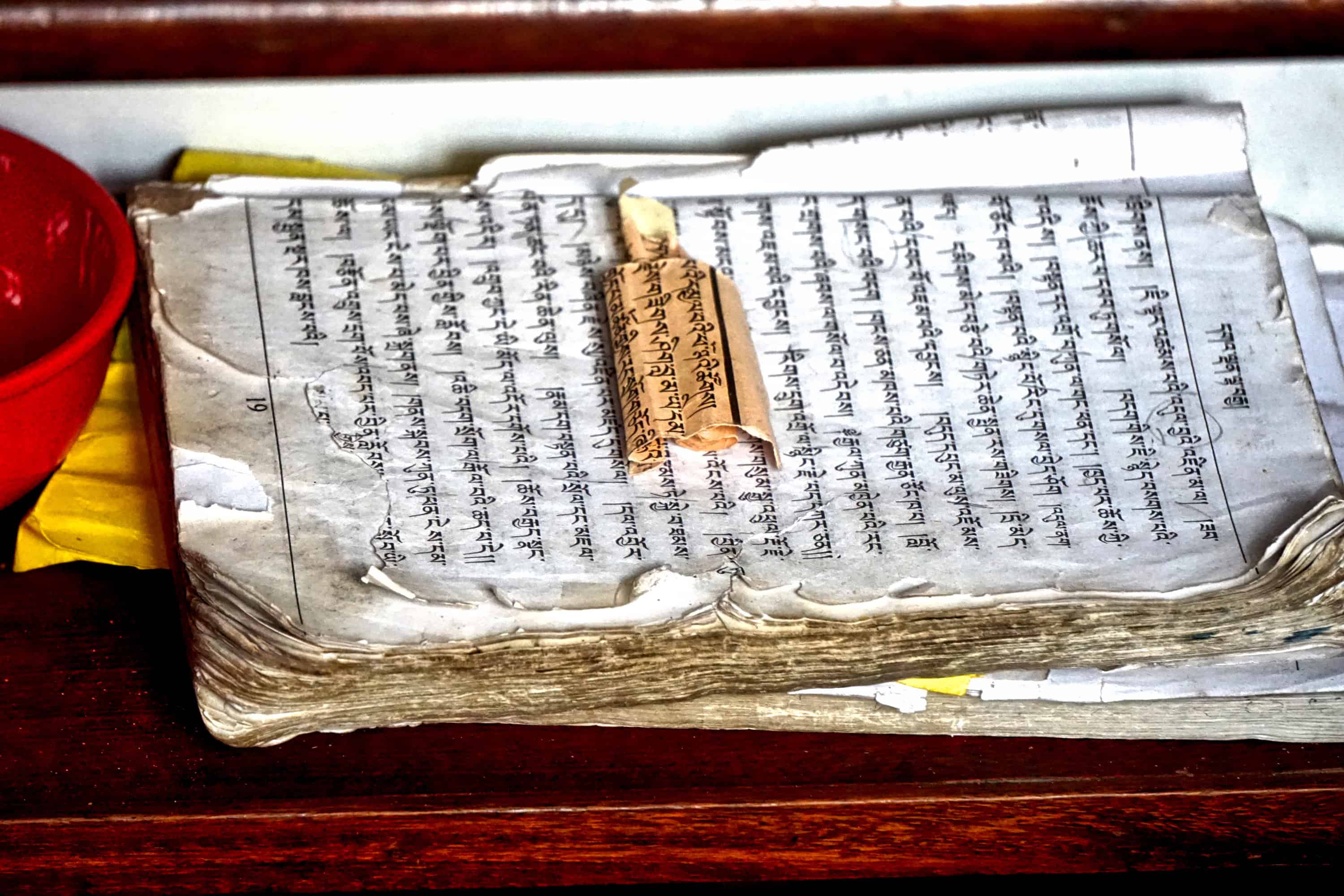 DSC00884_HDR