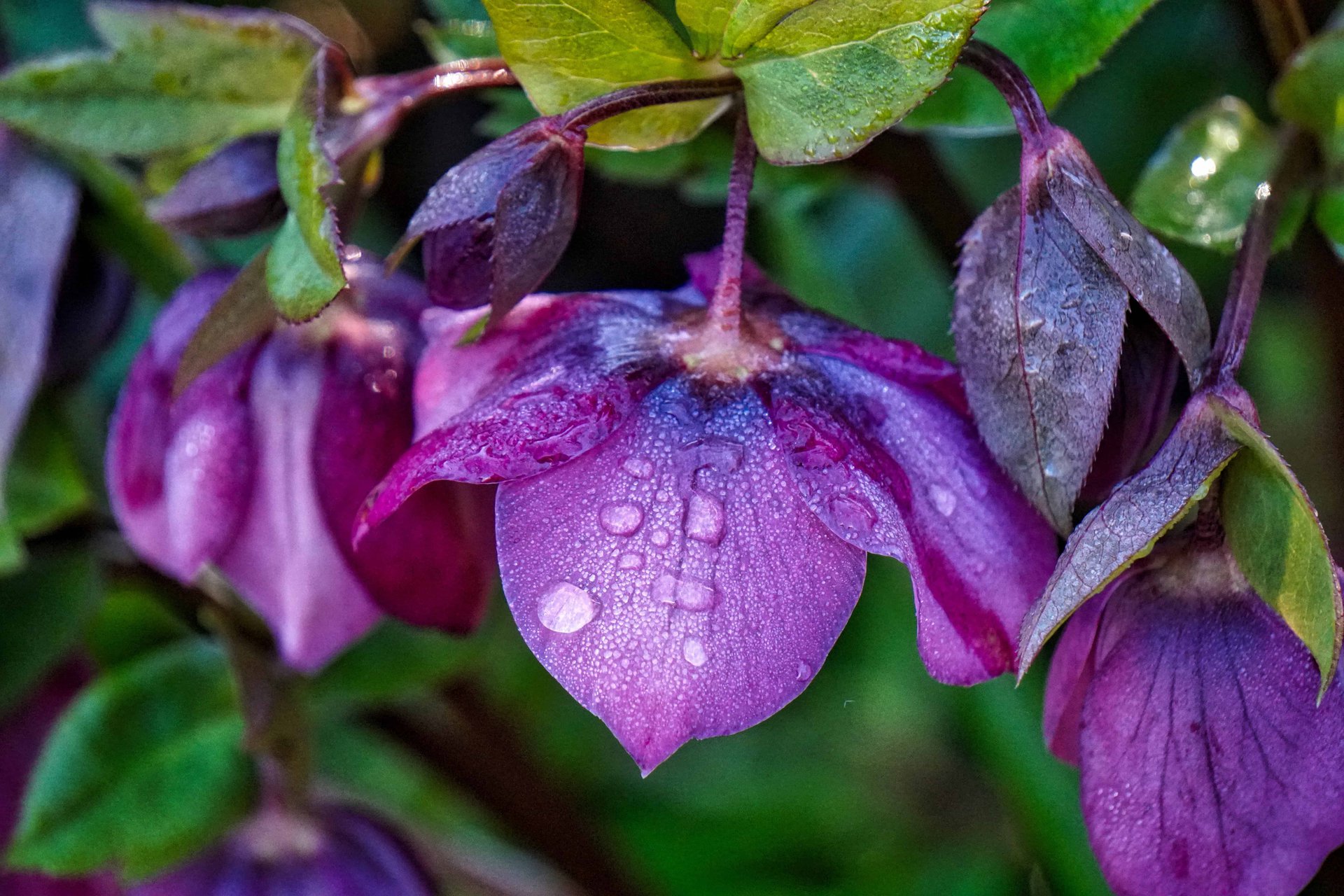 DSC01888_HDR