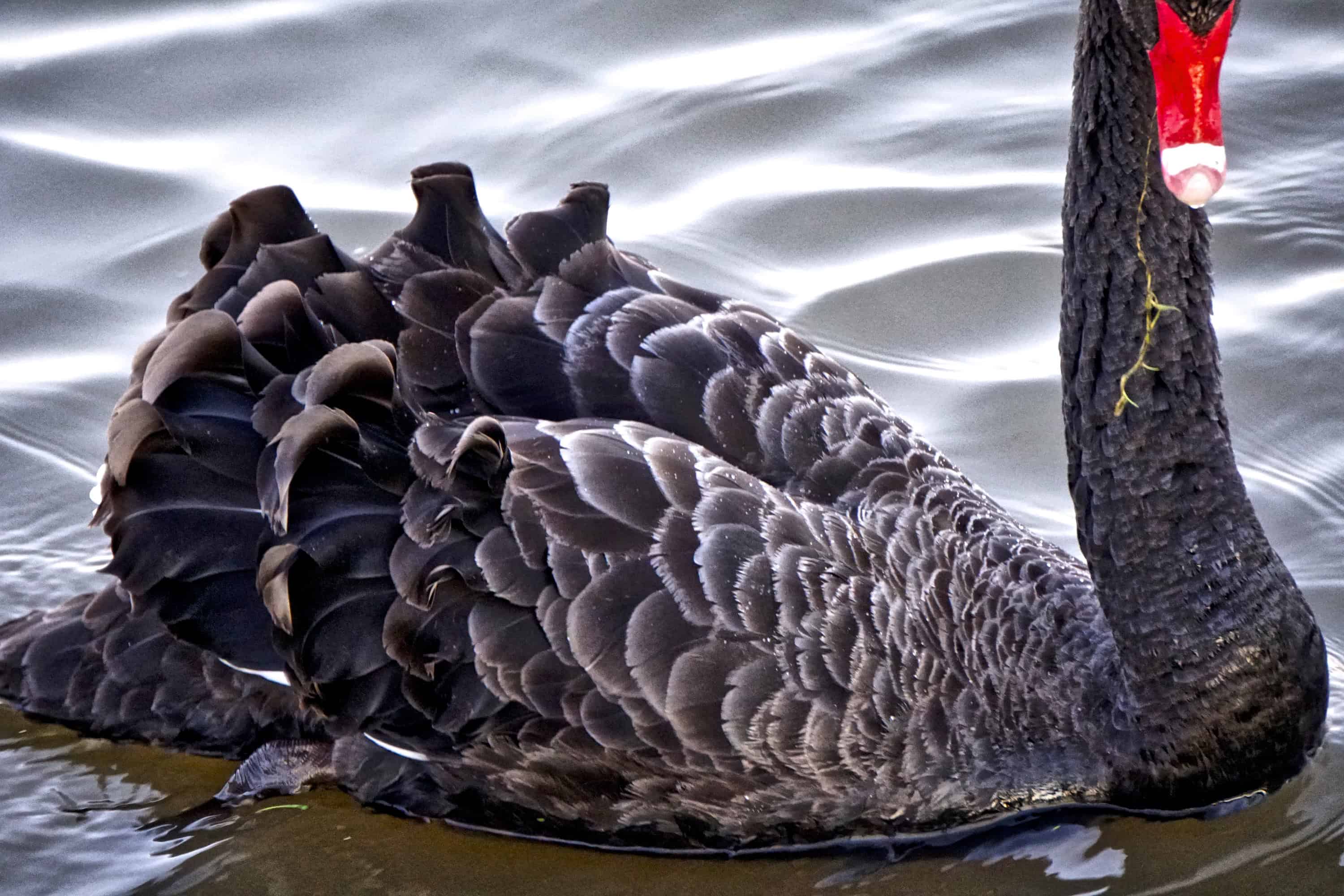 DSC01926_HDR