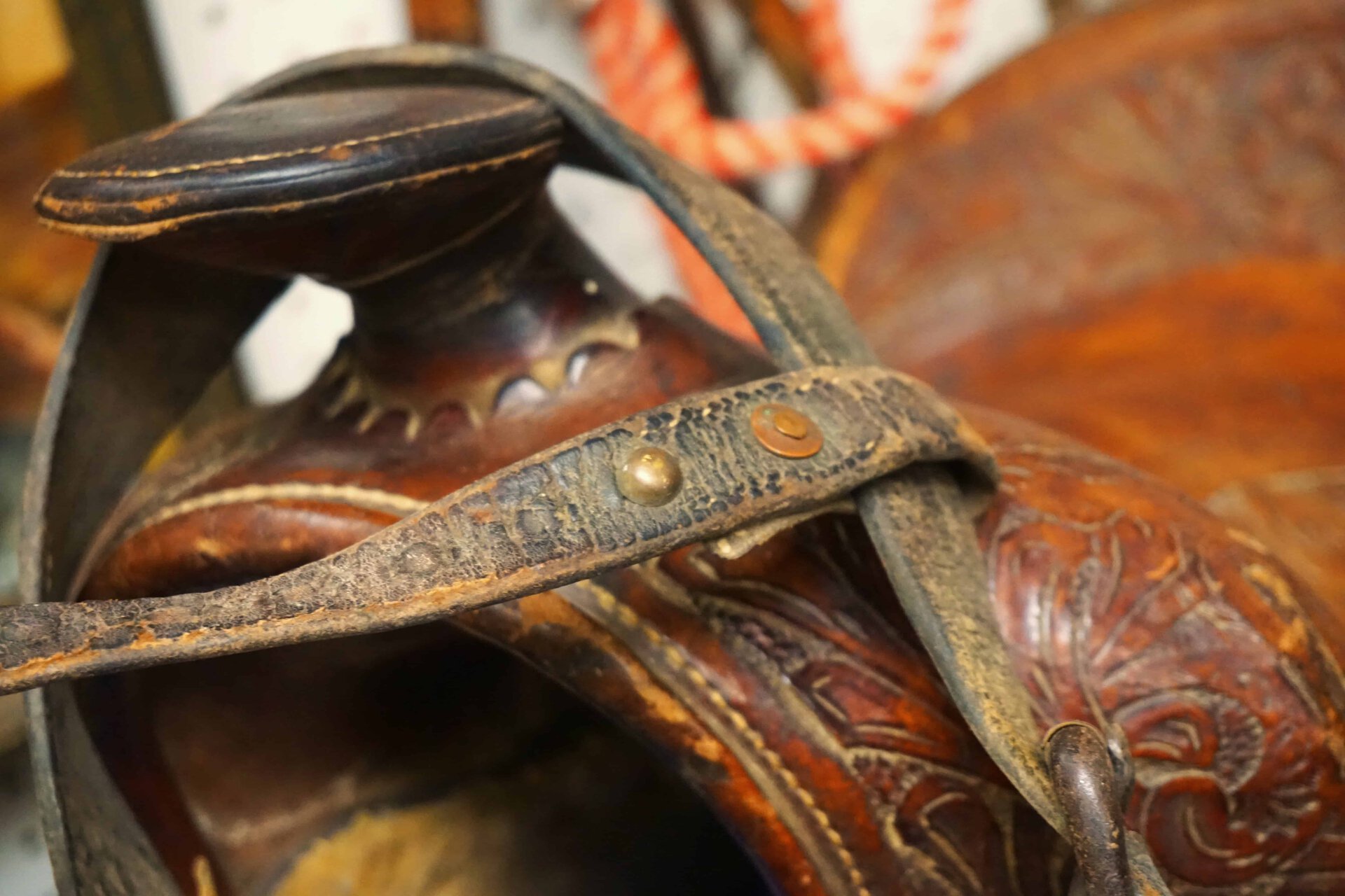 saddle