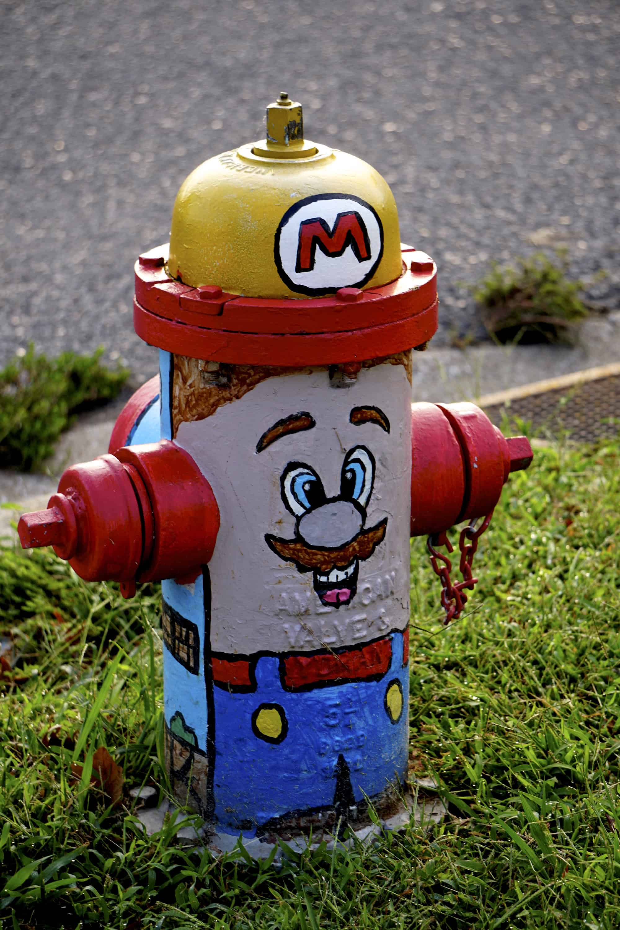 DSC02308