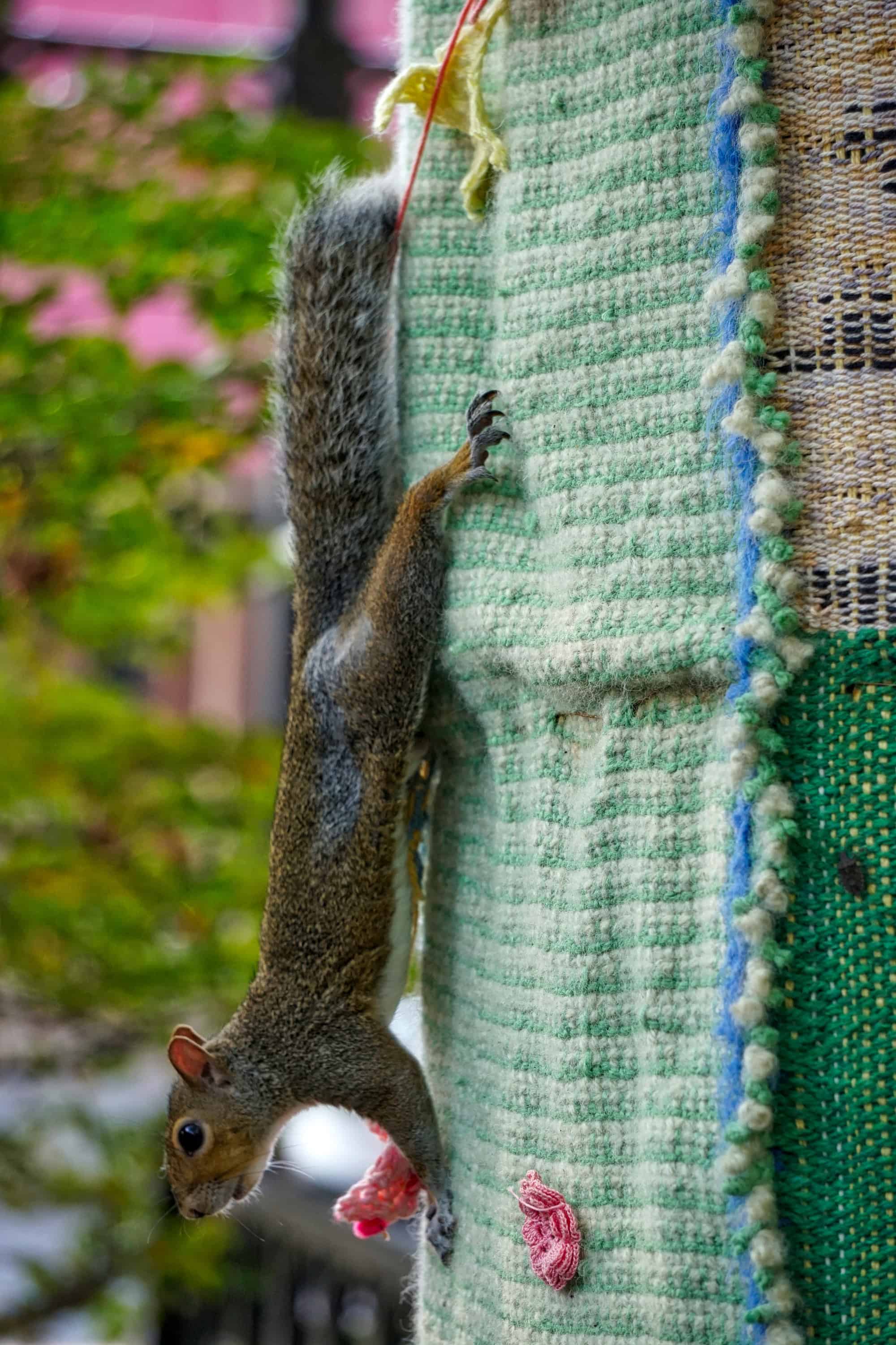 DSC02336_HDR