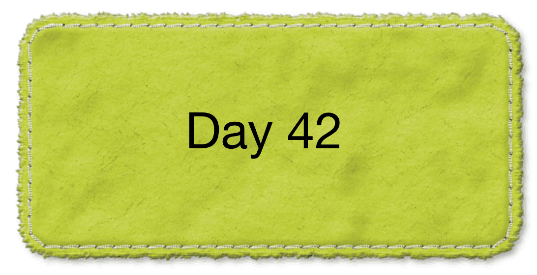 Day_41