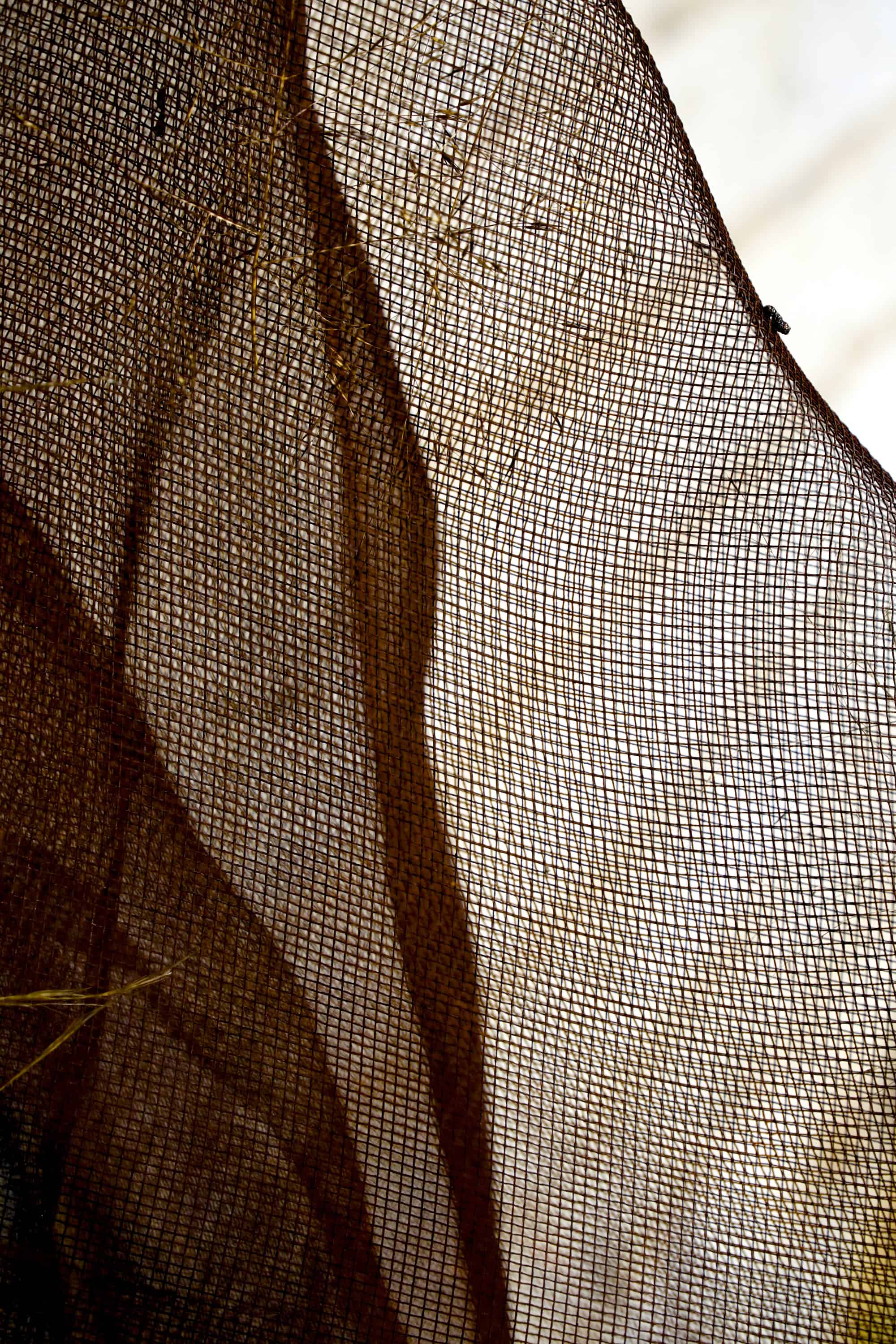 DSC05660