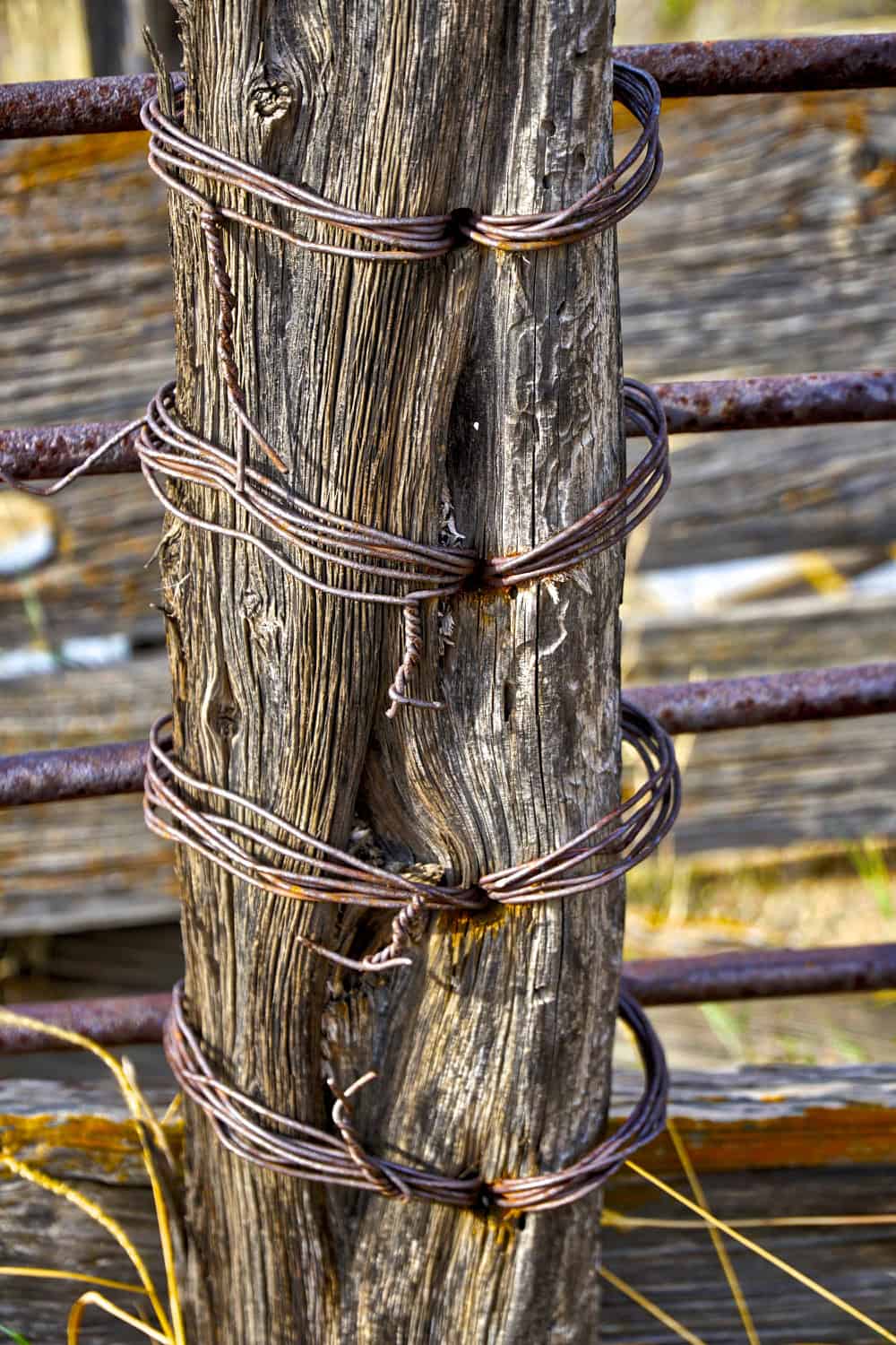 fence