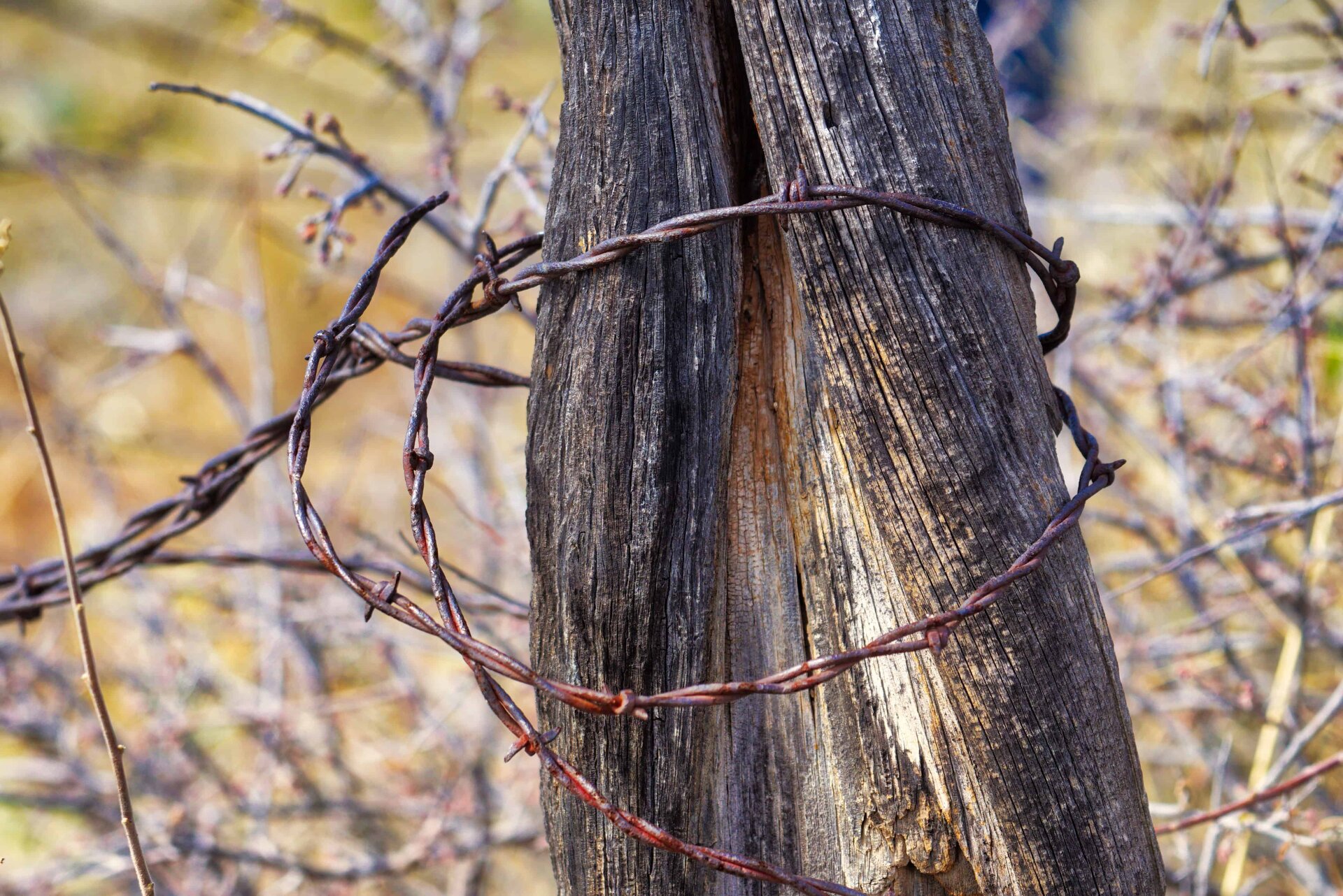 wire 1.