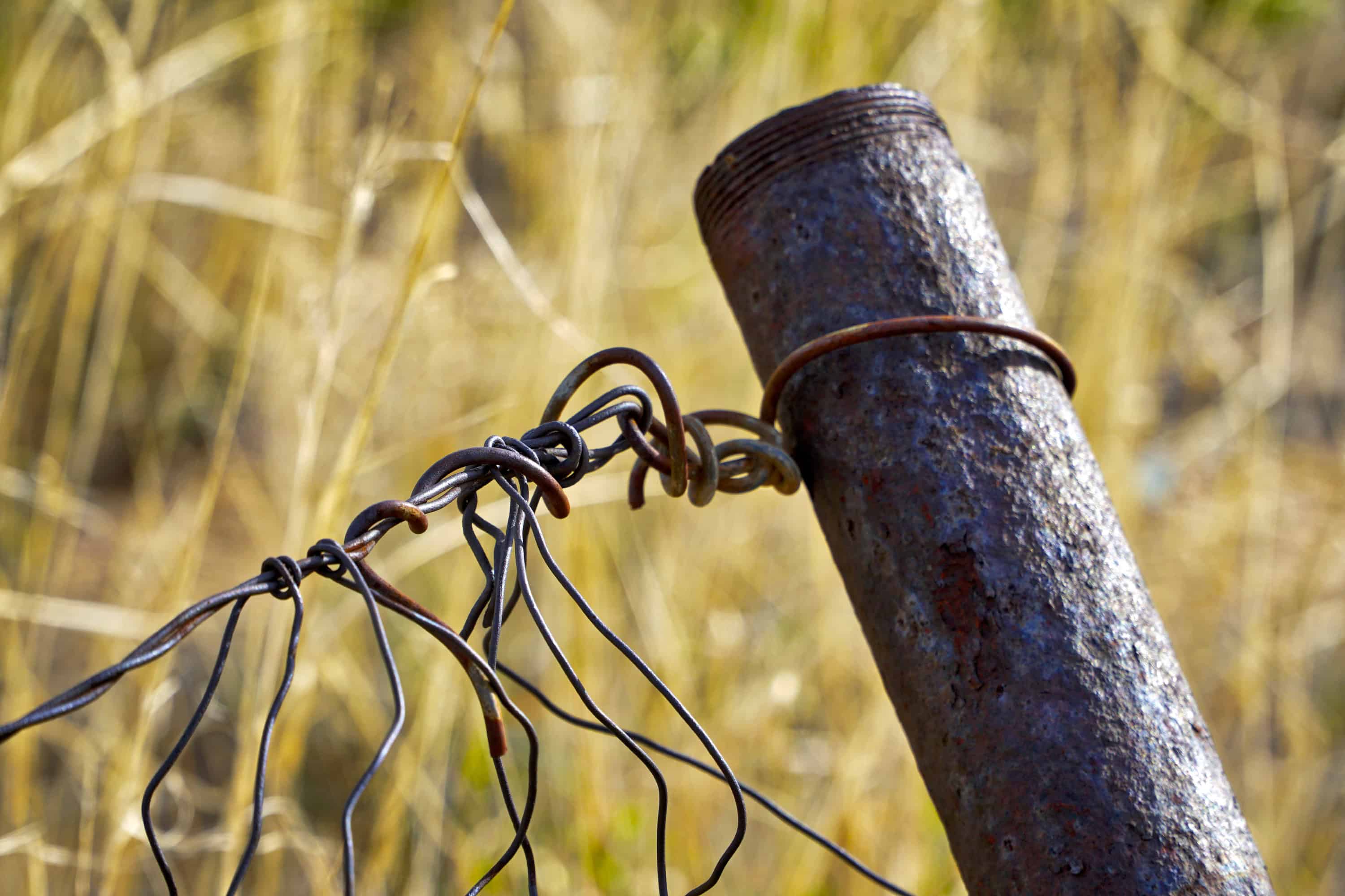 wire 6