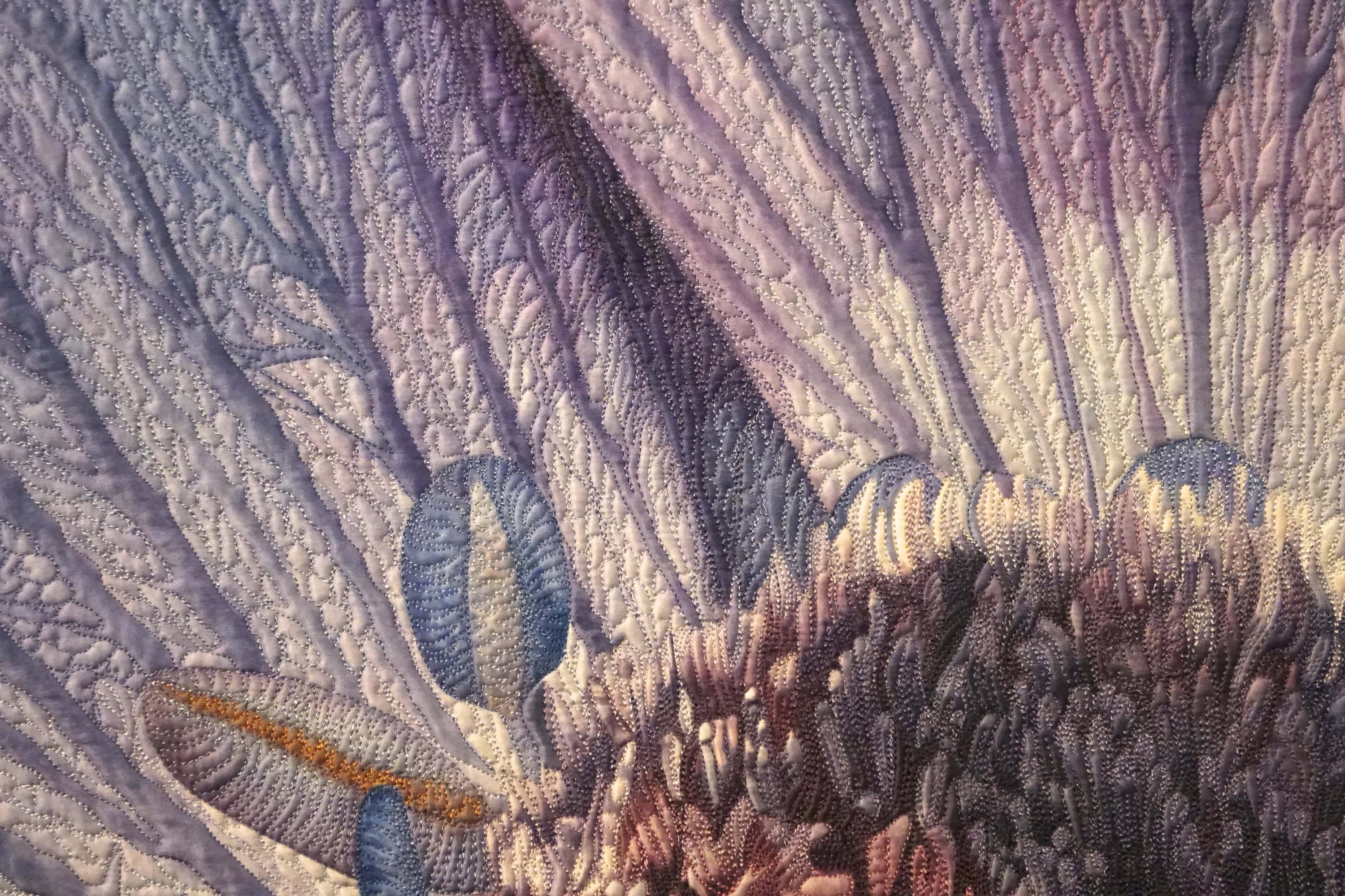 DSC00775