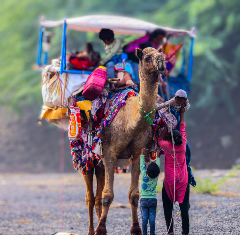 A decorated camel carrying passengers, with children climbing on and around it, set in a natural landscape.